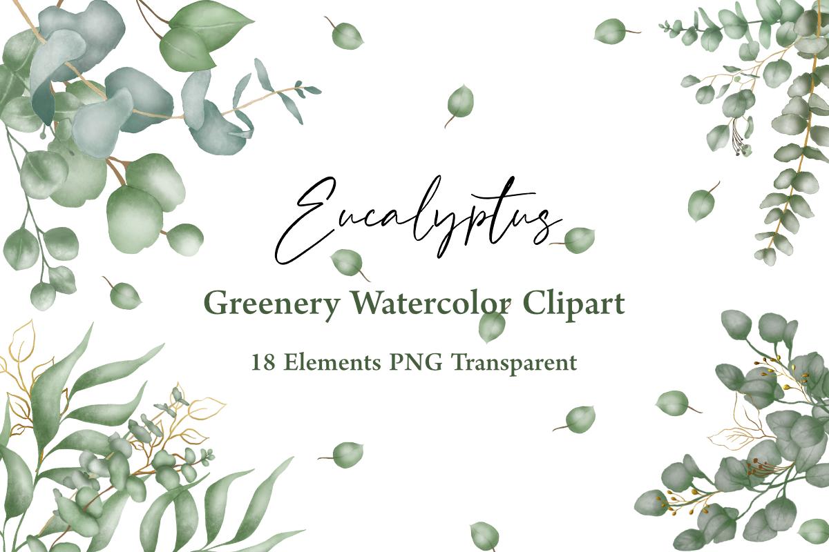 Watercolor Eucalyptus Clipart - Greenery