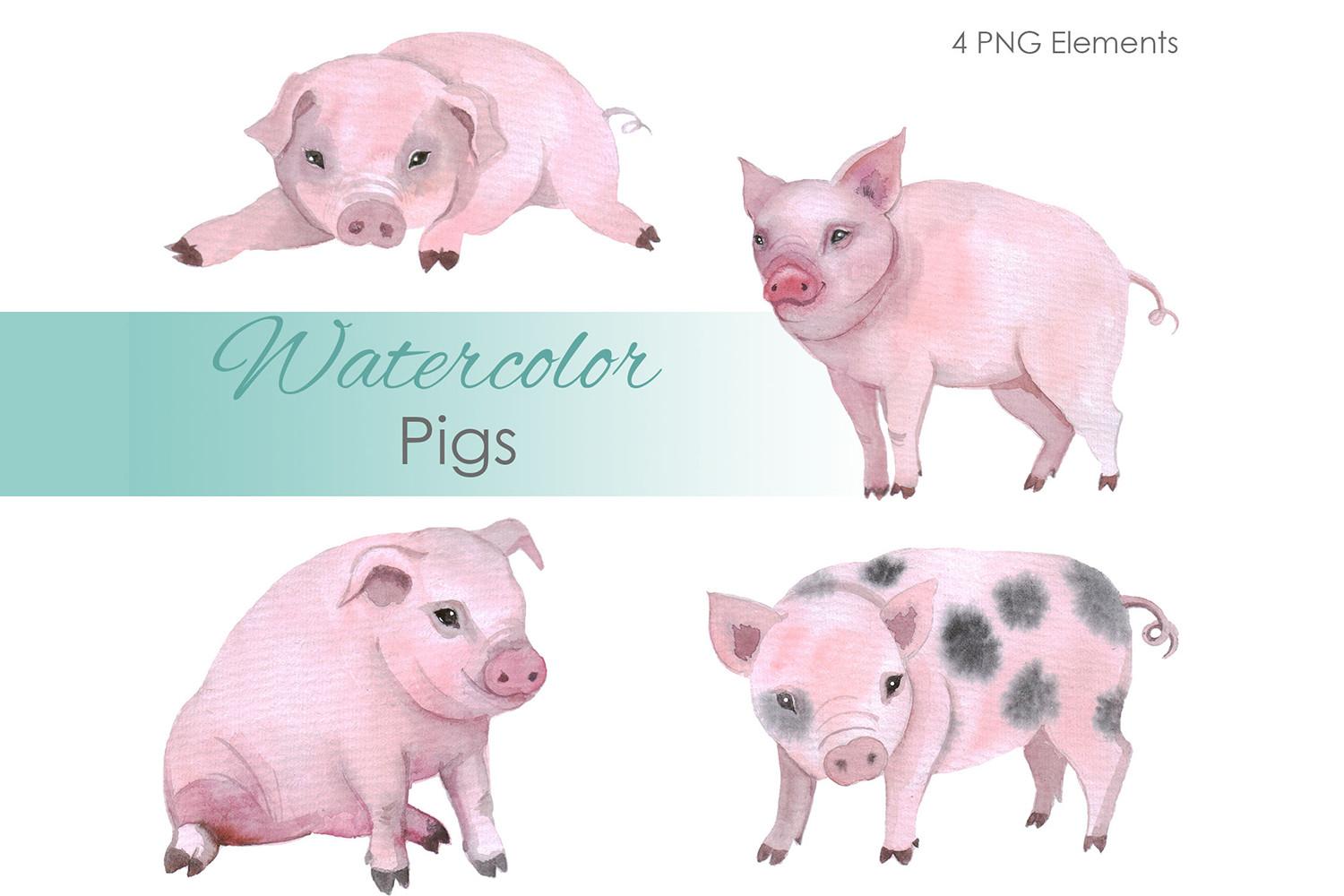 Watercolor Clipart. Farm Animal Pig Png