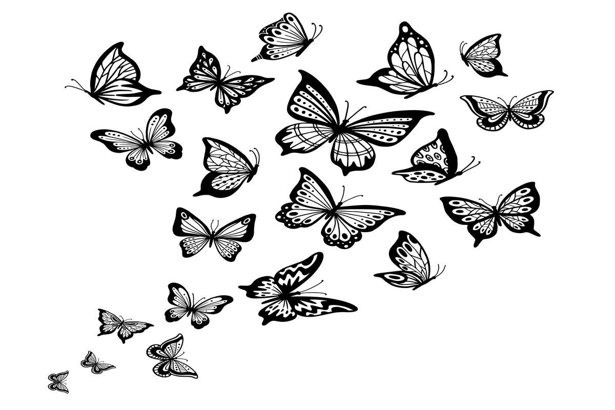 Butterflies Flow