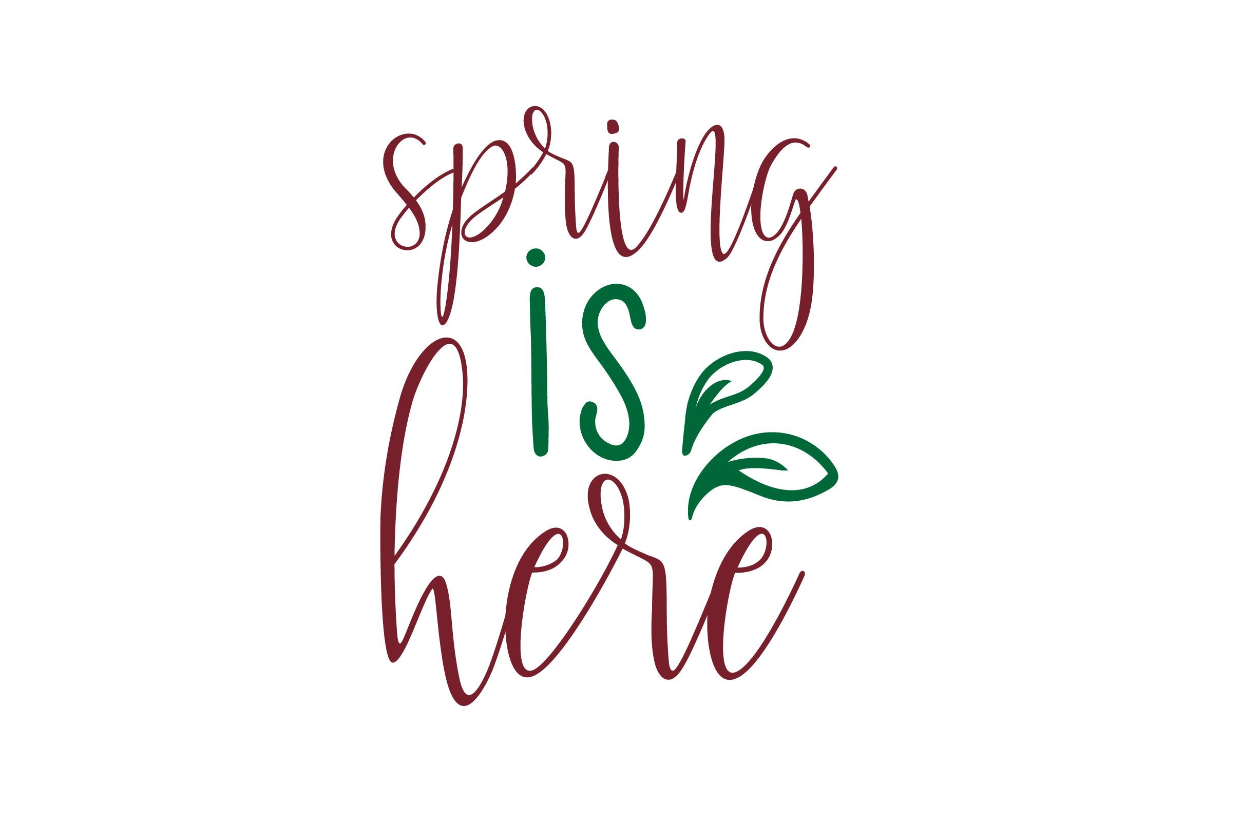Spring is Here SVG Cute FIle