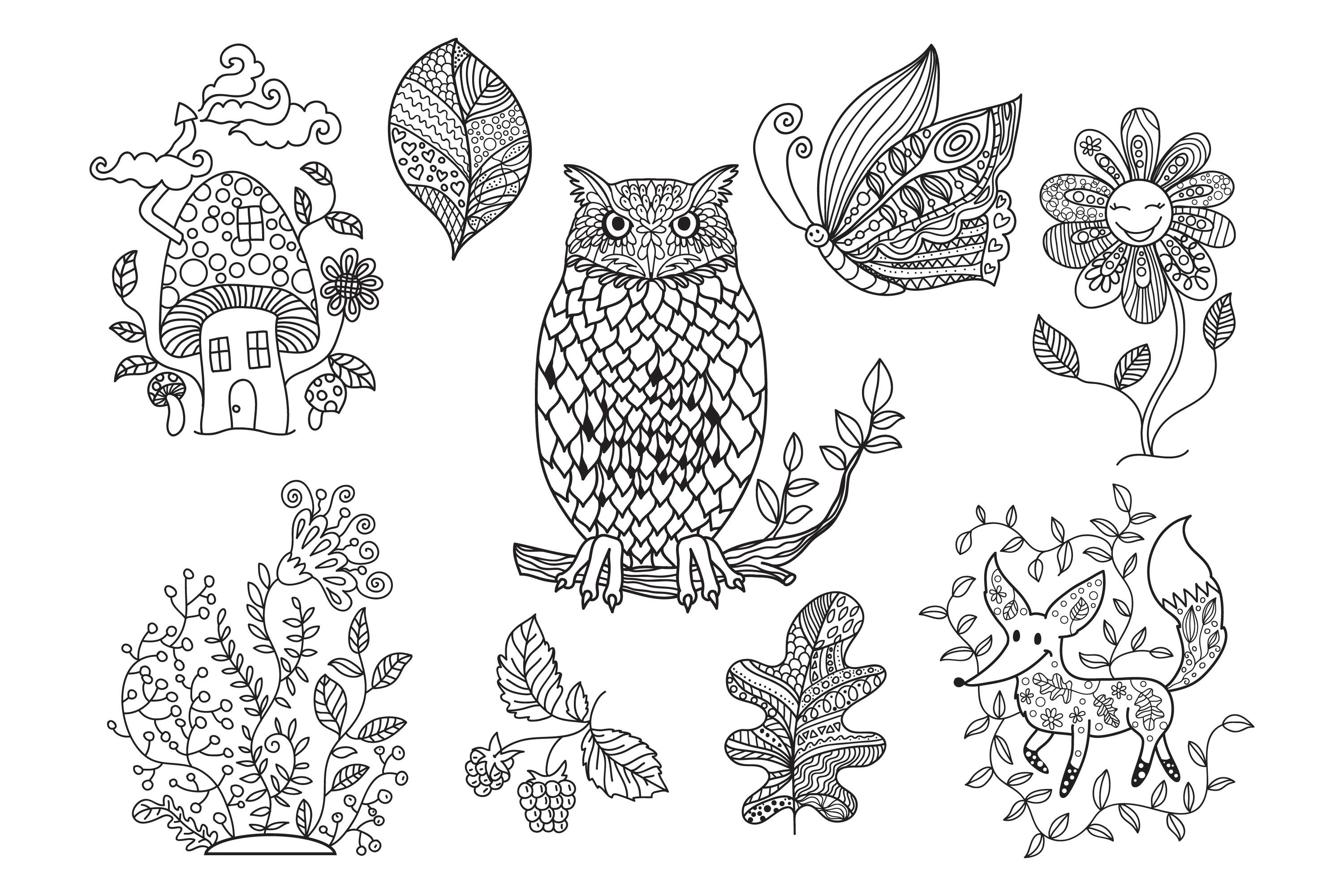 Animal Coloring Page & Book Adults