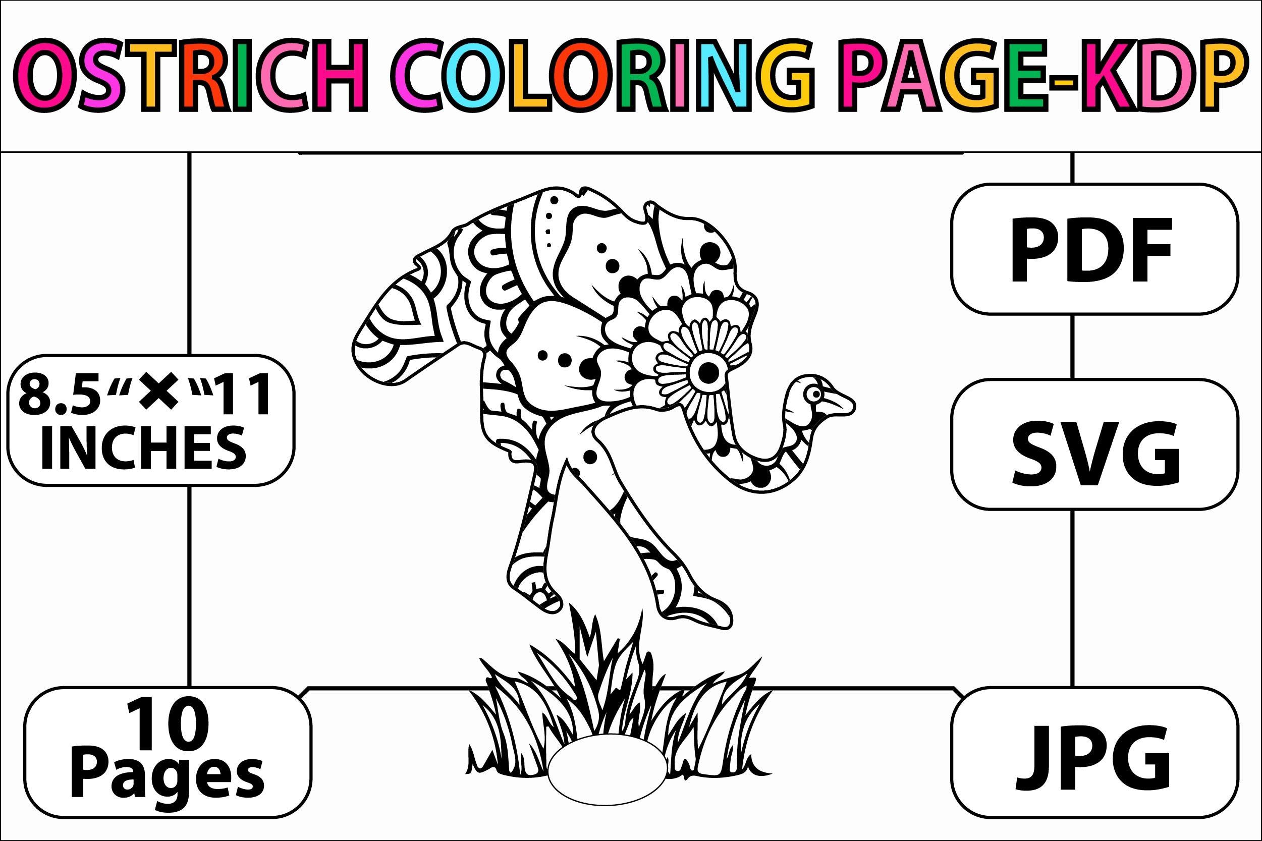 Ostrich Coloring Page - KDP