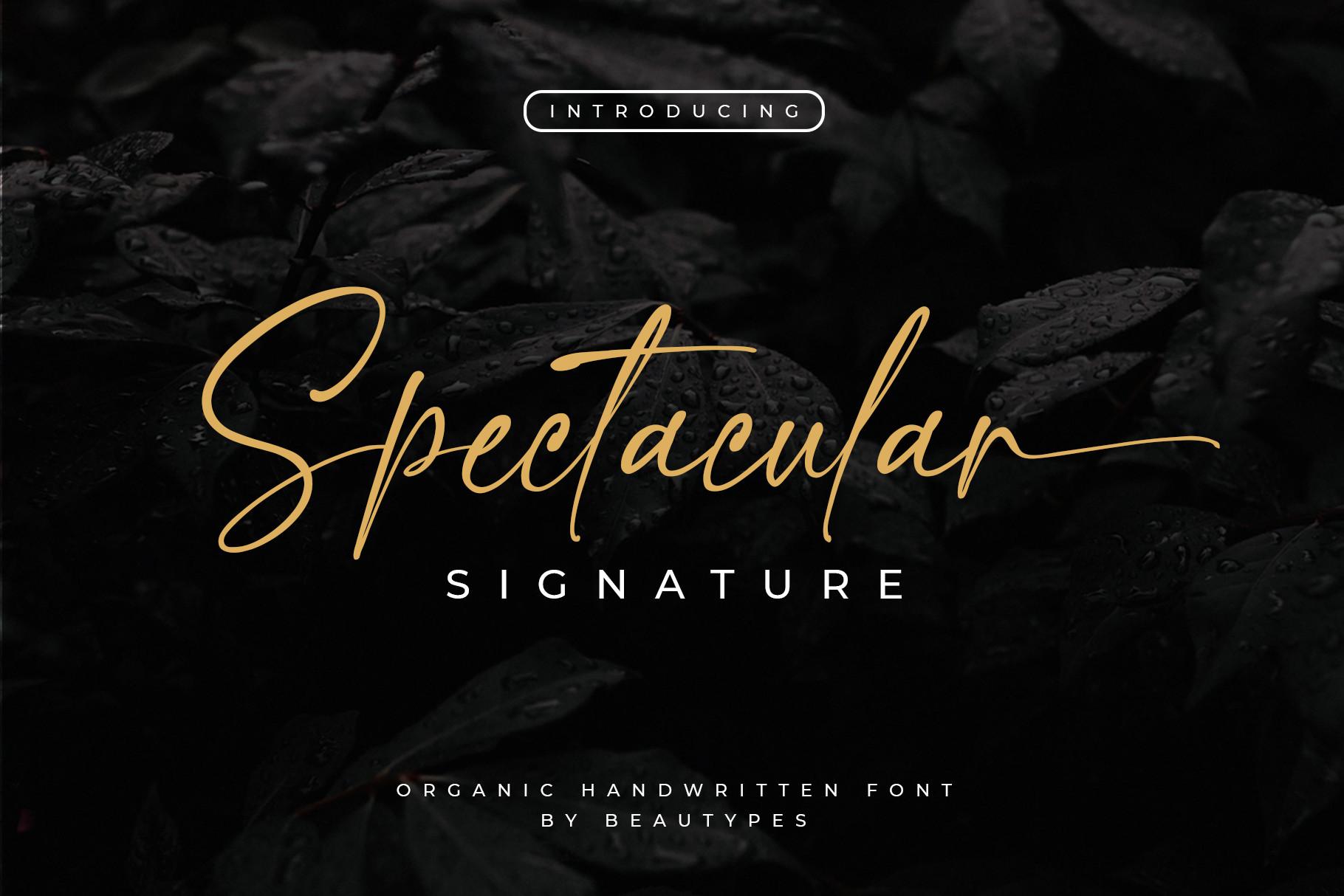 Spectacular Signature Font