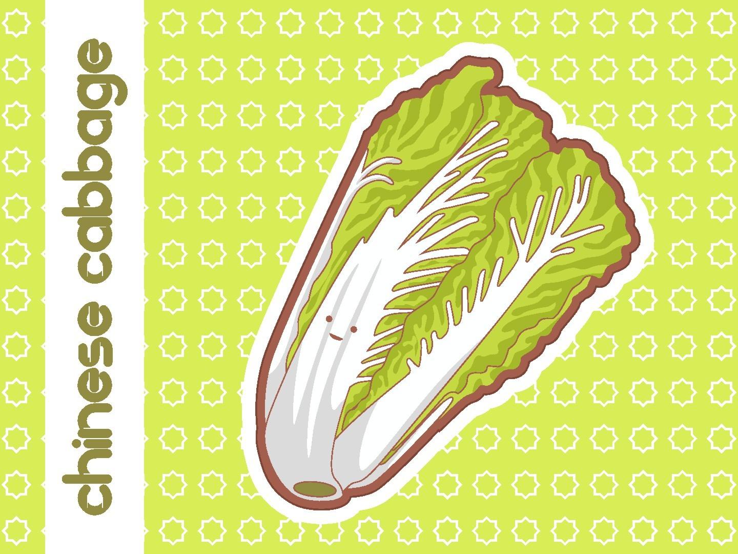 Cute Chinese Cabbage Vector Illustration