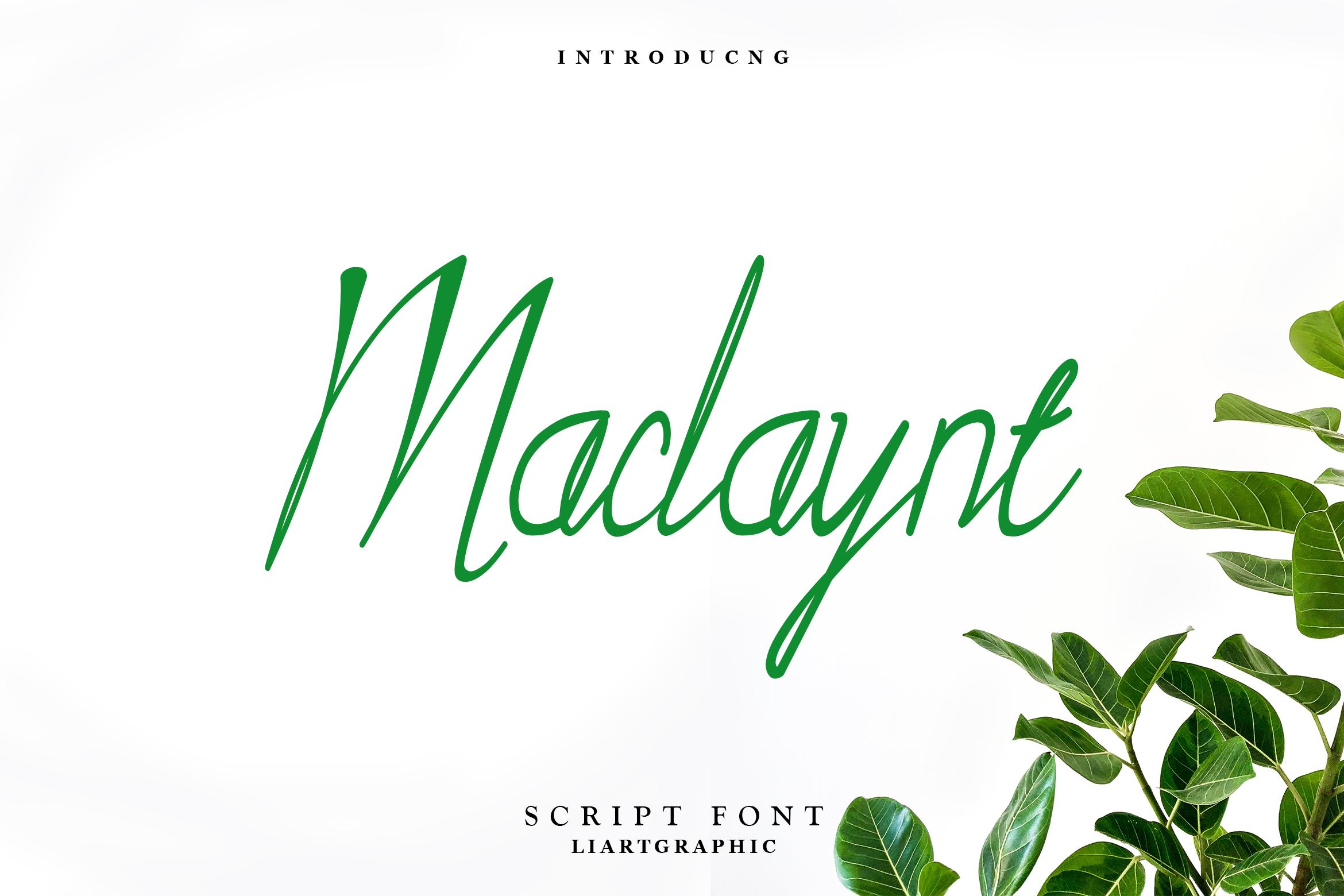 Maclaynt Font