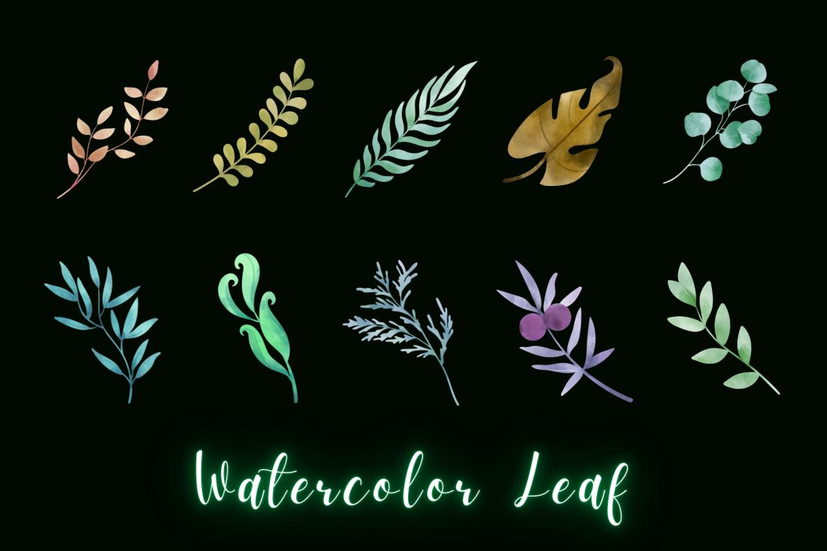 Watercolor Leaf Clipart Illustration