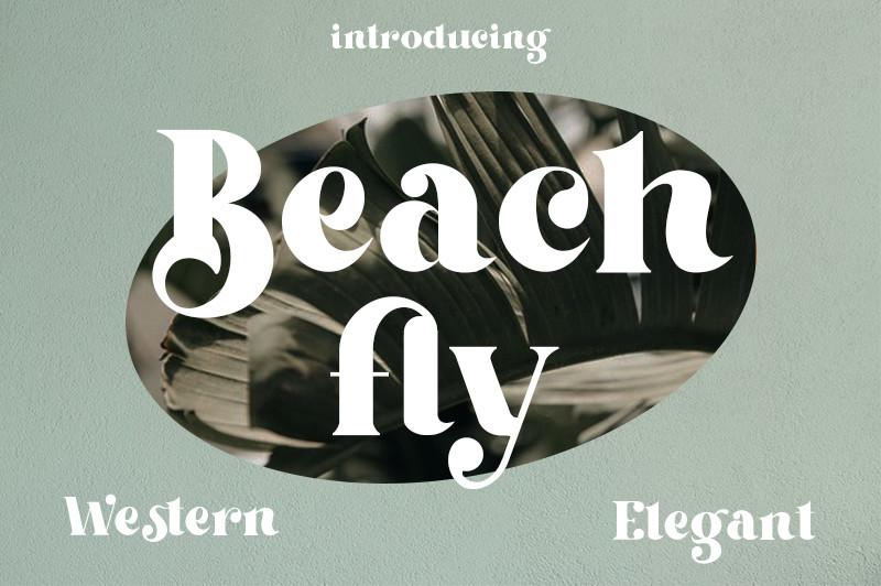 Beach Fly Font