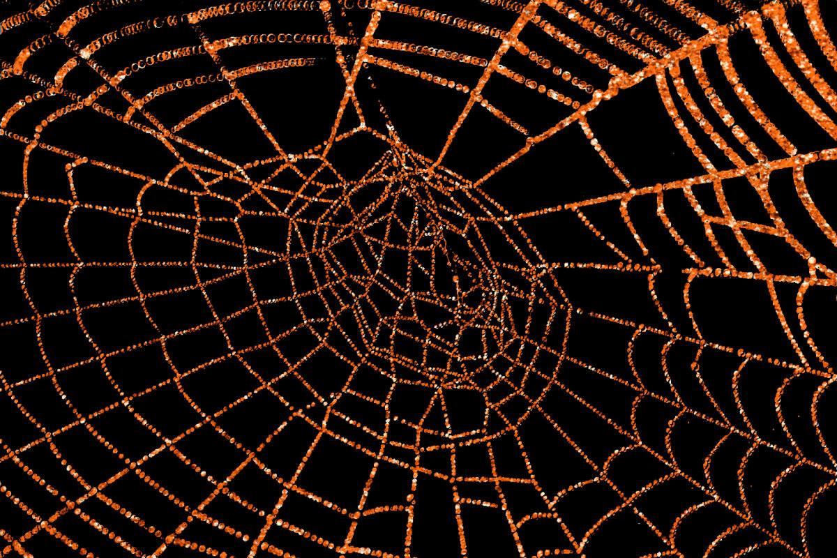 Glittering Orange Spider Web