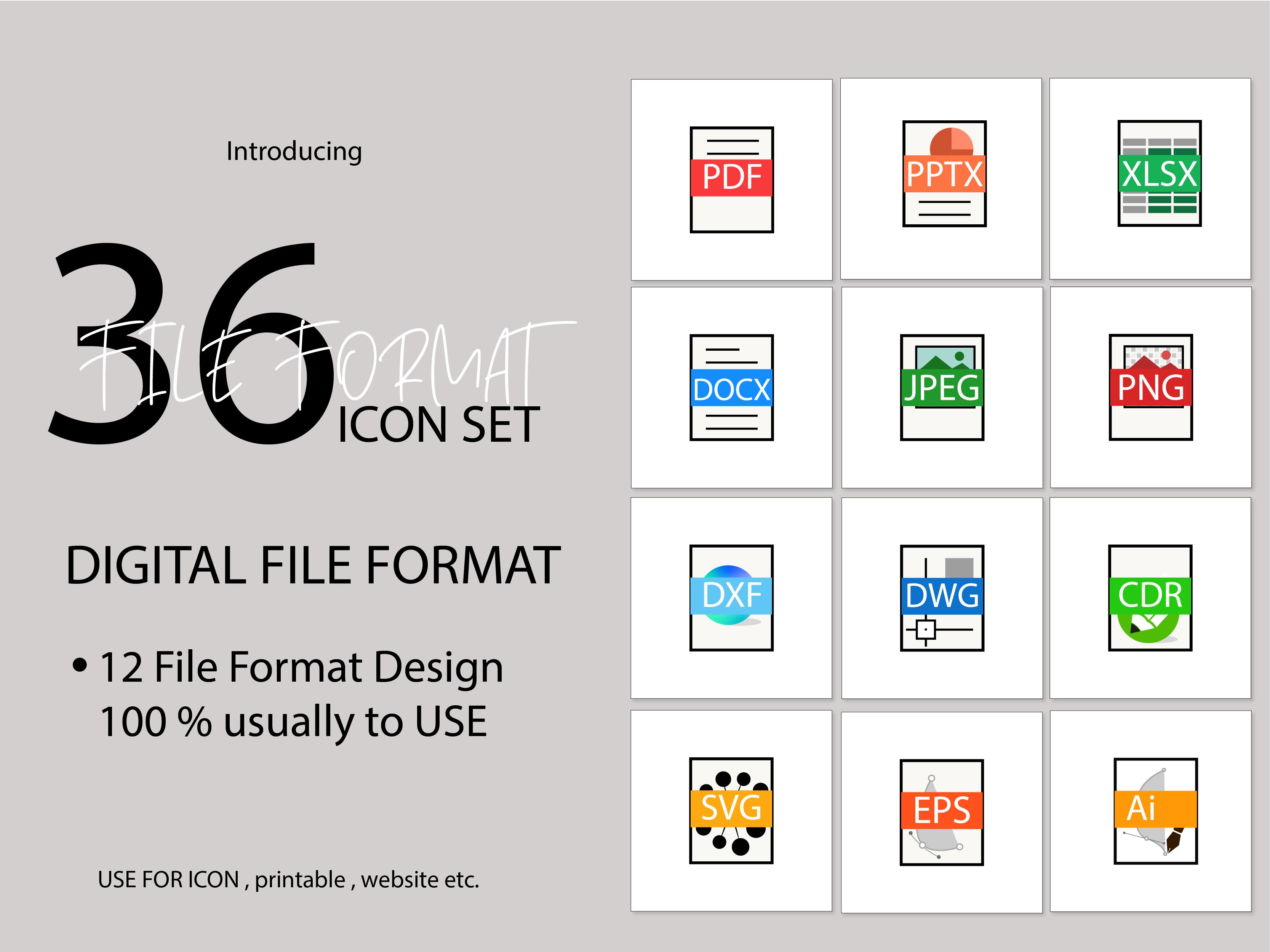 Digital File Format
