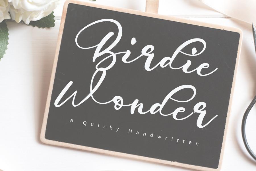 Birdie Wonder Font