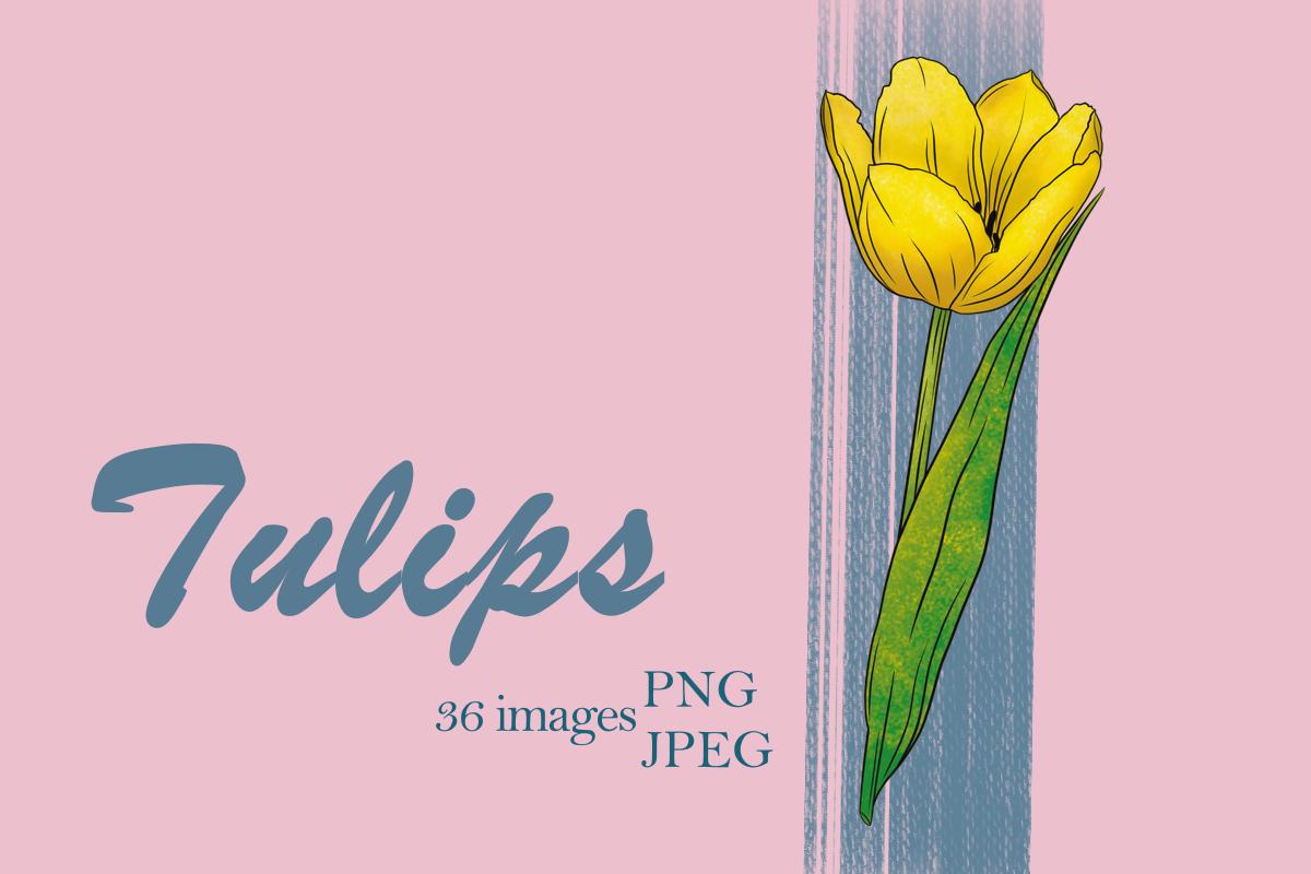A Tulip Flower. Spring. Clipart.