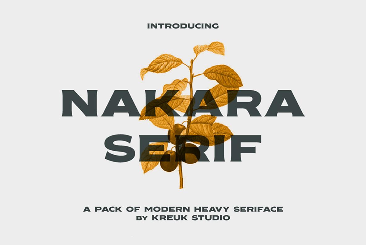 Nakara Serif Font