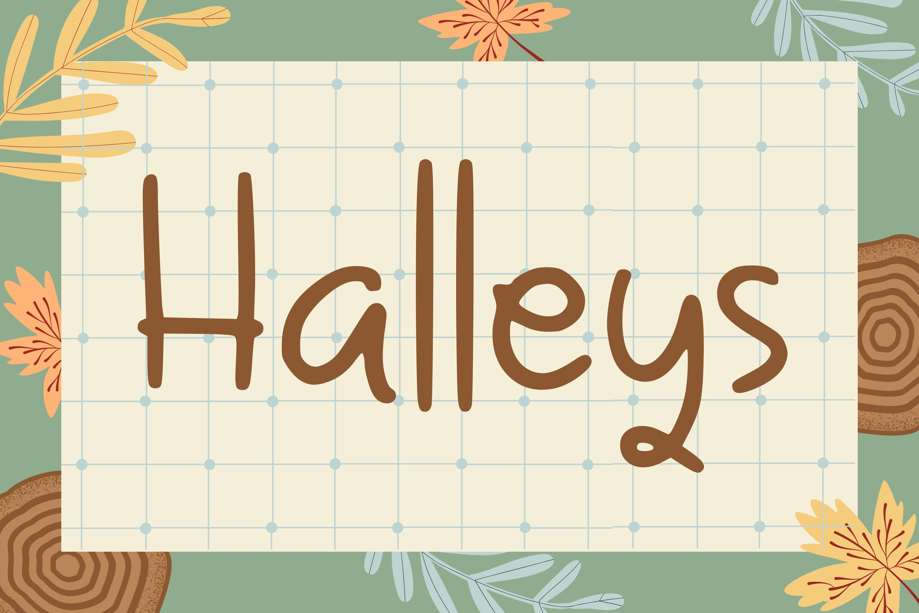 Halleys Font
