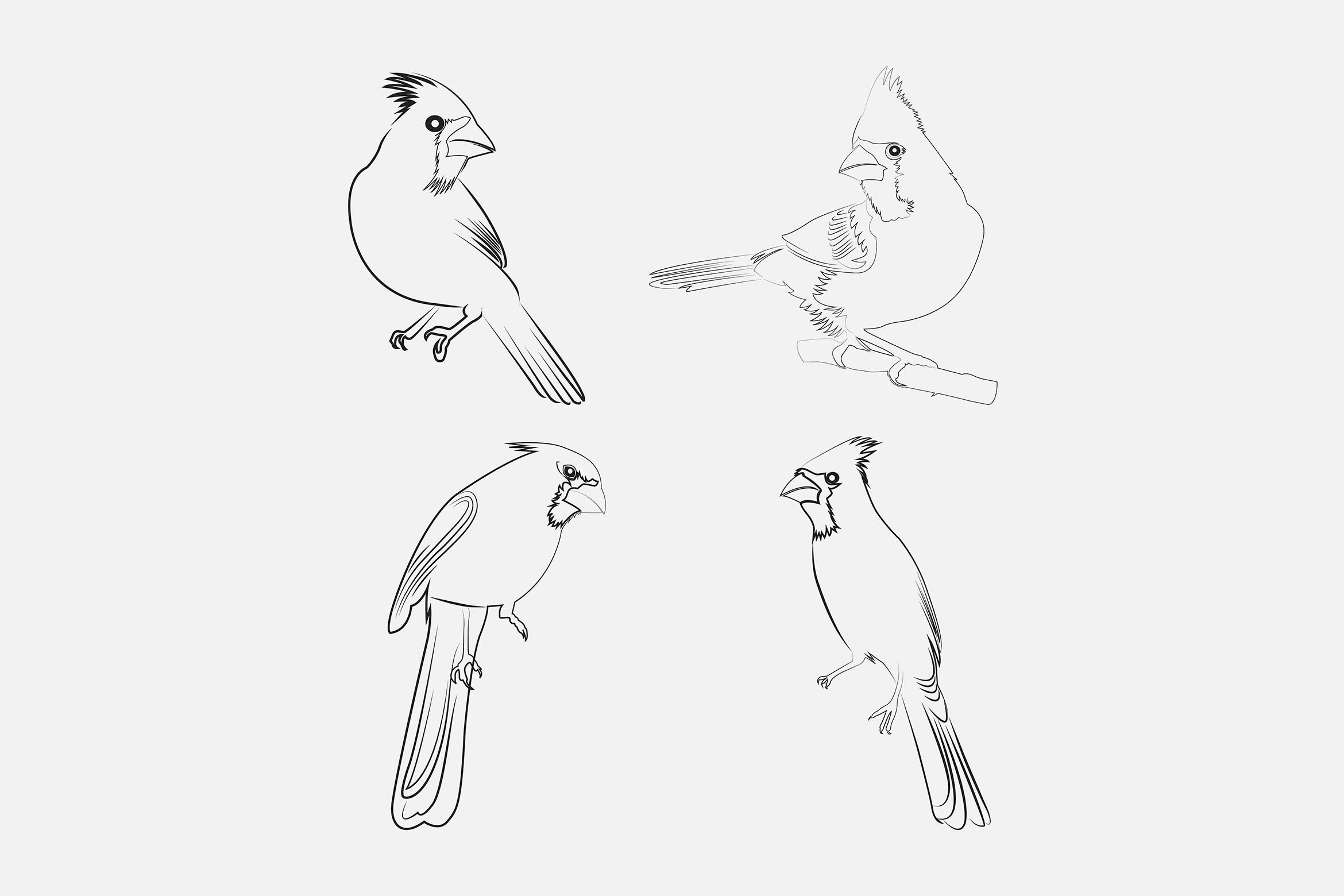 Cardinal Bird Lineart