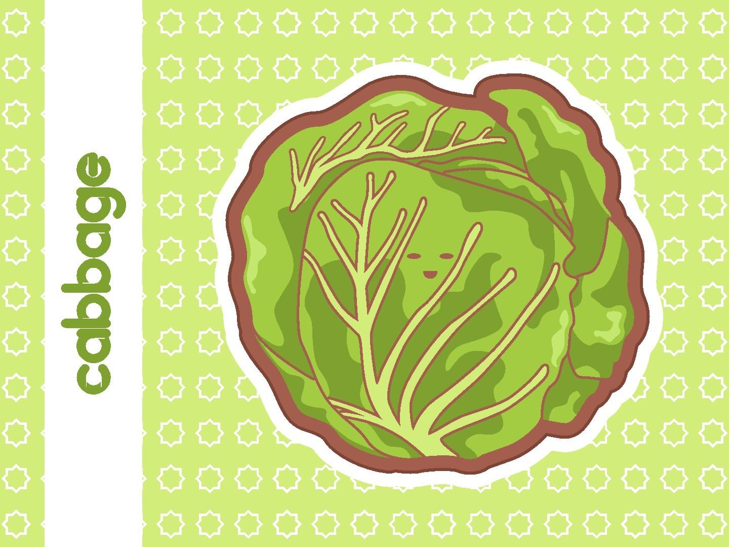 Cute Cabbage Vector Illustration