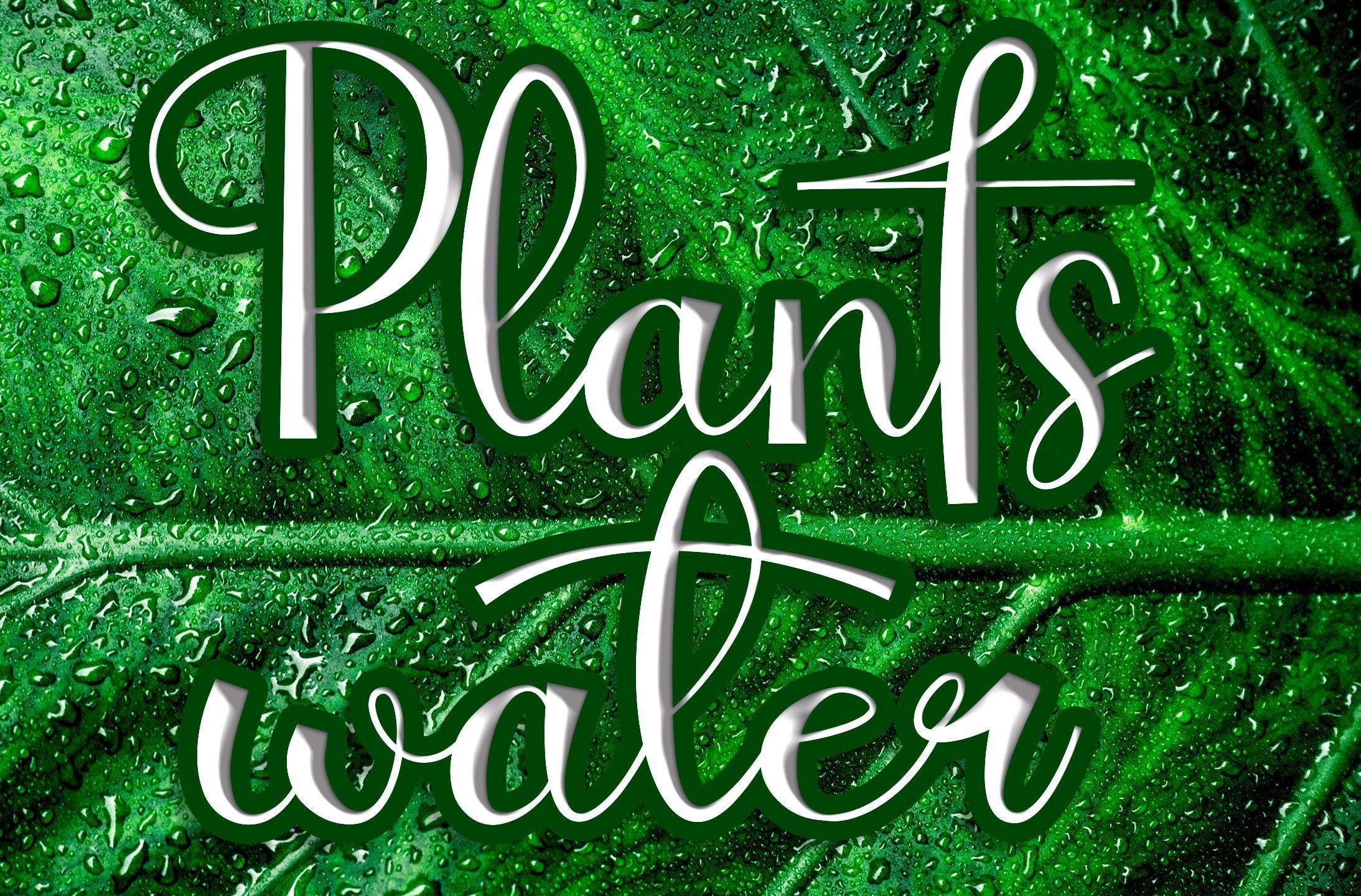 Plantswater Font