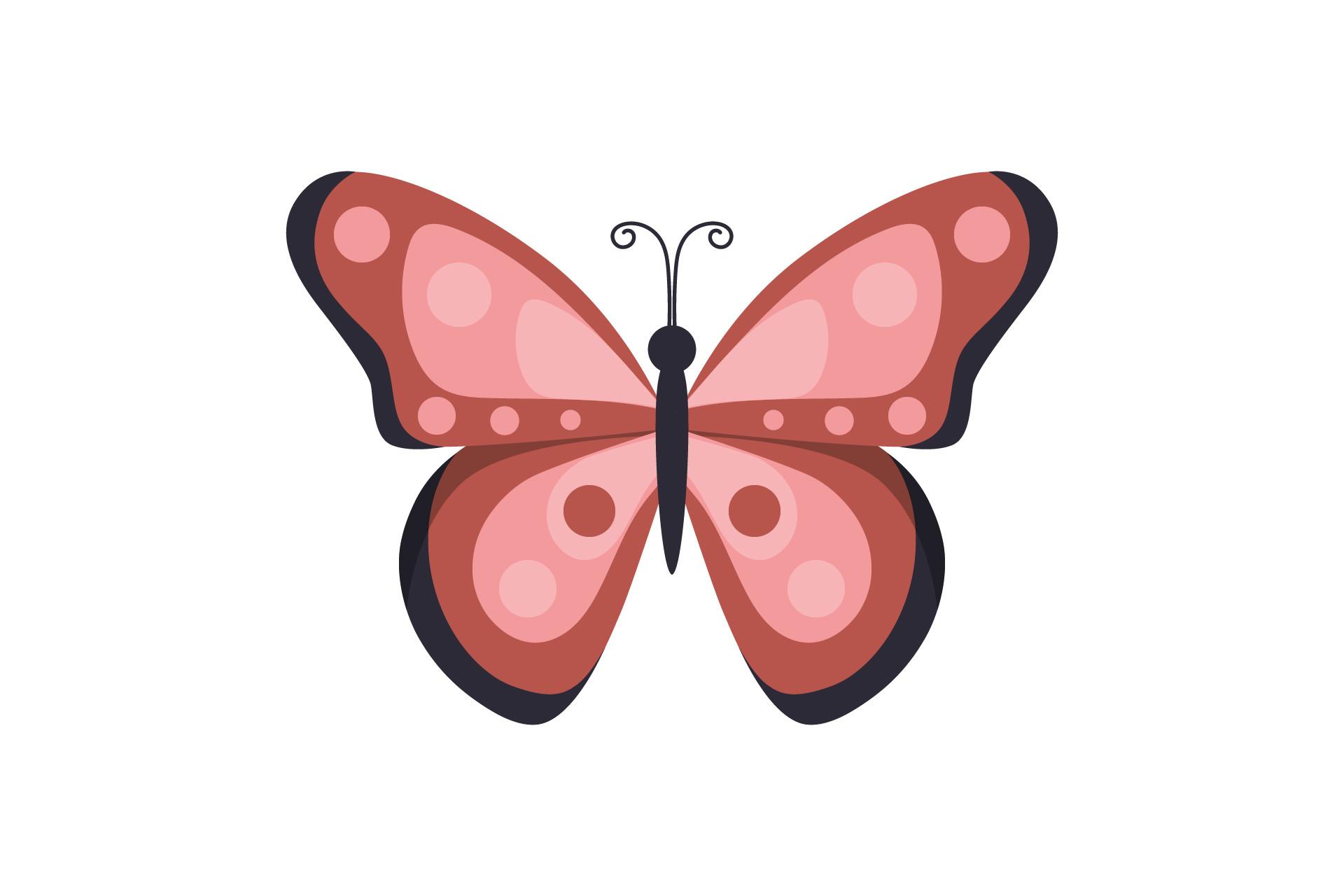 Beauty Butterfly Illustration