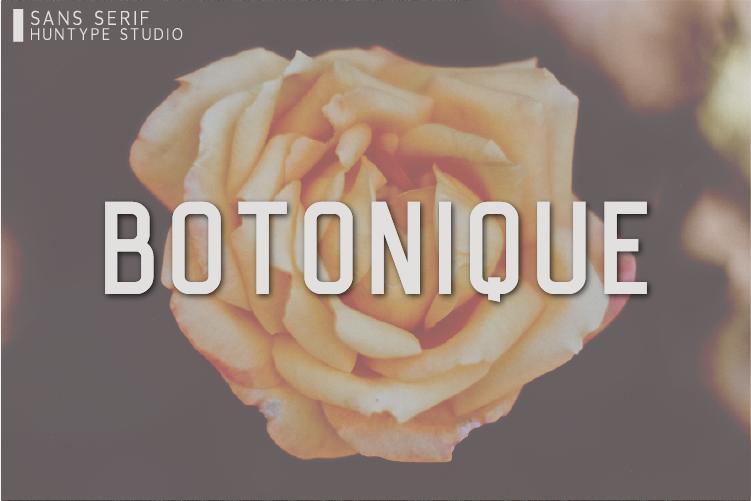 Botonique Font