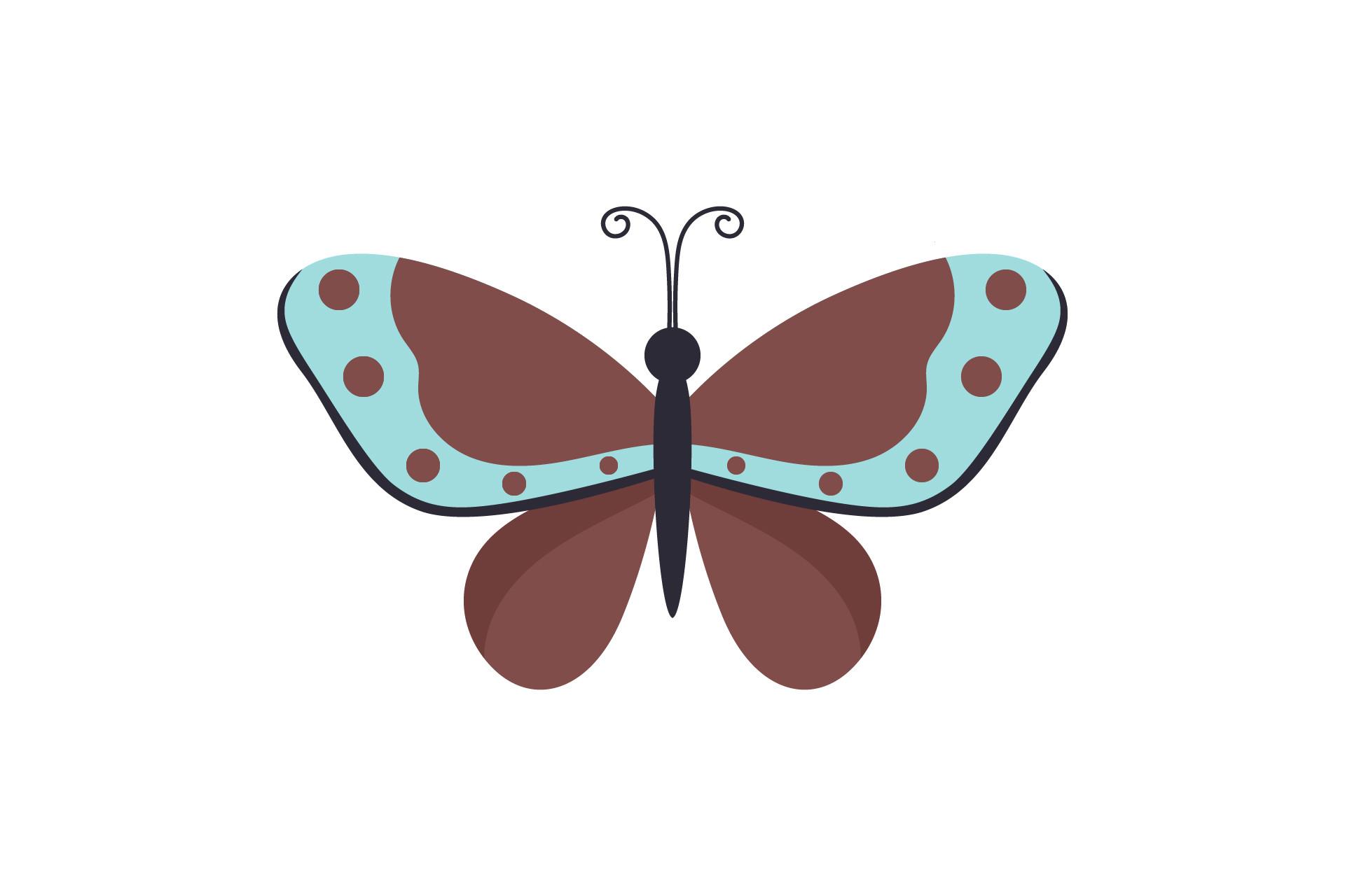 Butterfly Beauty Illustration