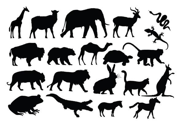 Animal Silhouette Collection Set