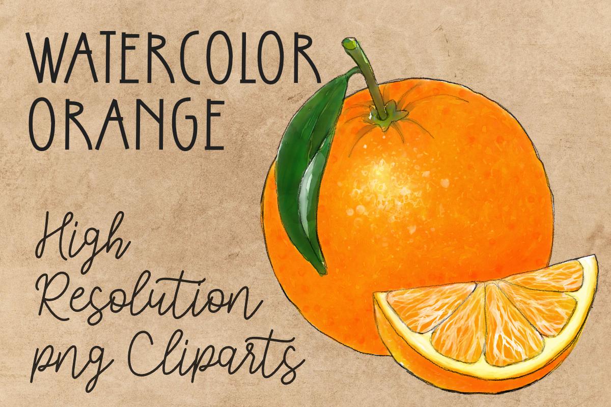 Watercolor Orange Clipart PNG Fruit Art