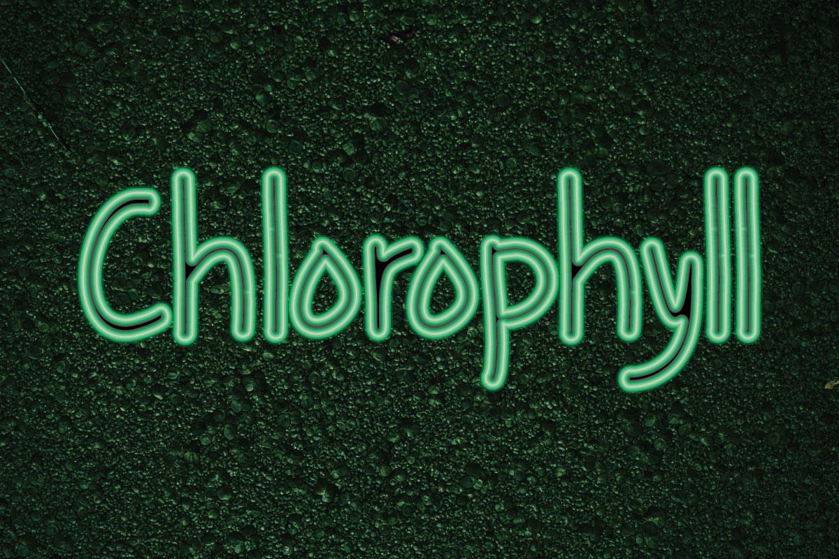 Chlorophyll Font