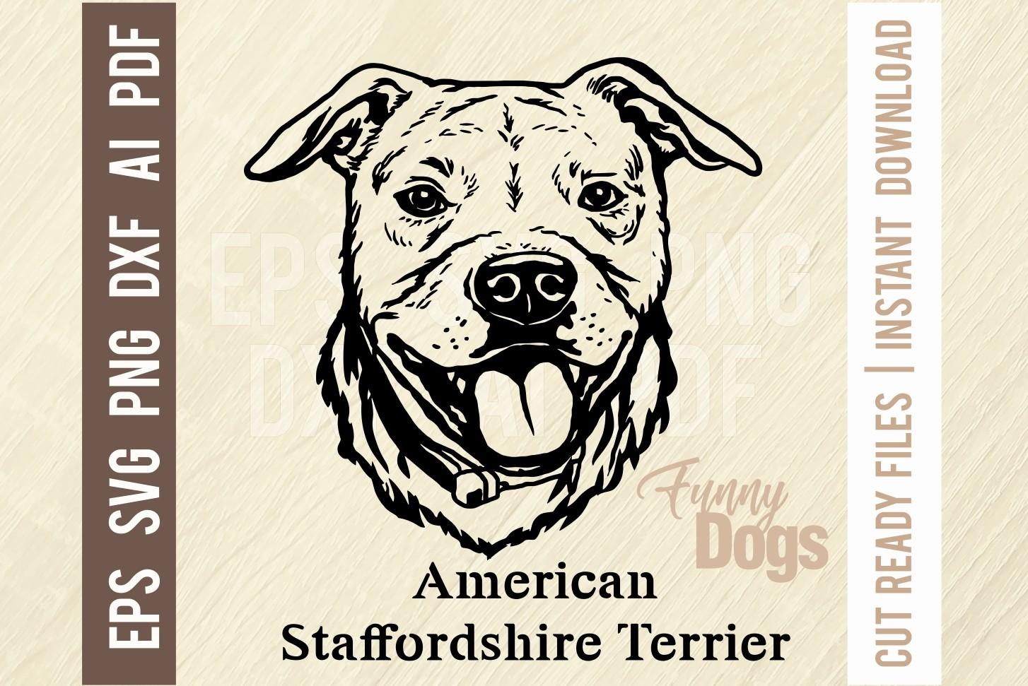 American Staffordshire Terrier Funny Dog