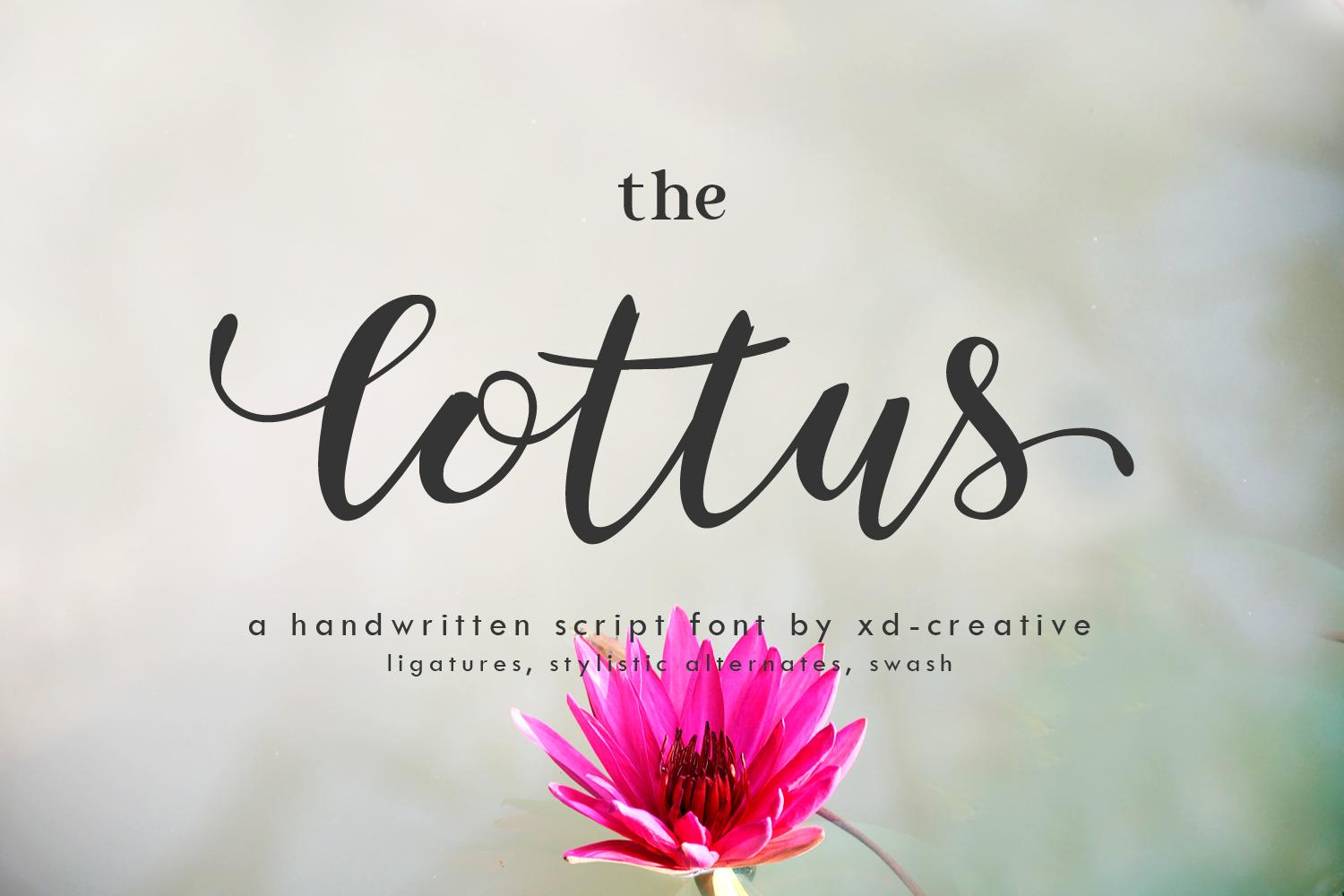 The Lottus Font