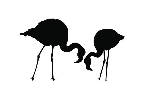 Flamingo Silhouette Vector Illustration