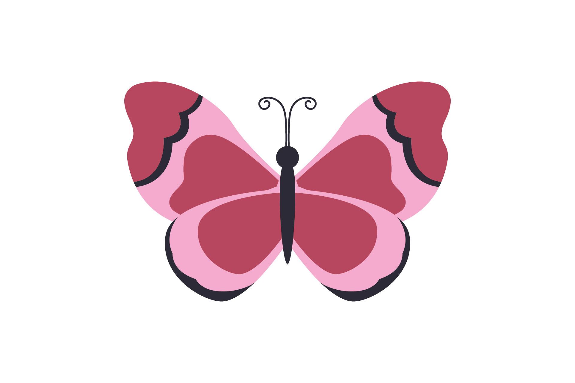 Beauty Butterfly Illustration