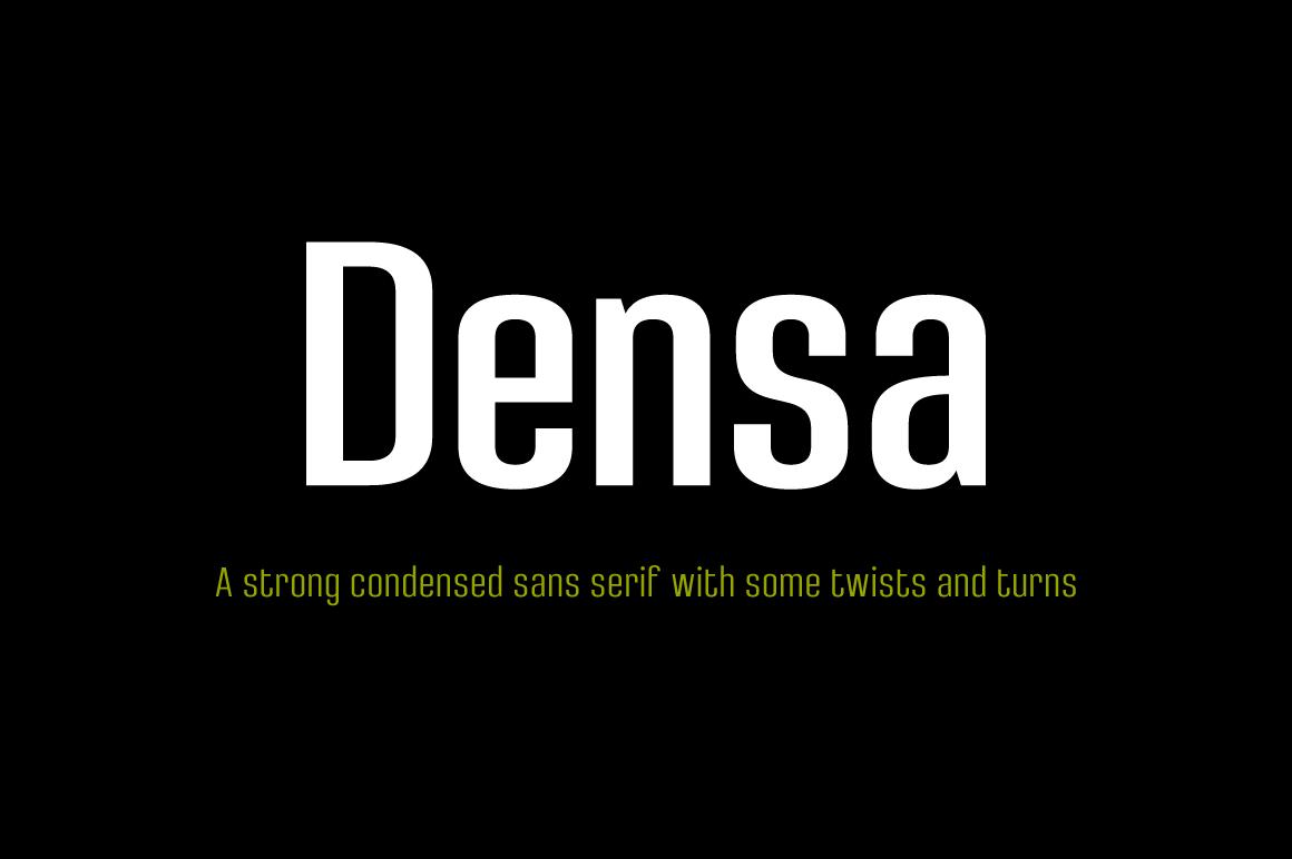 Densa Family Font