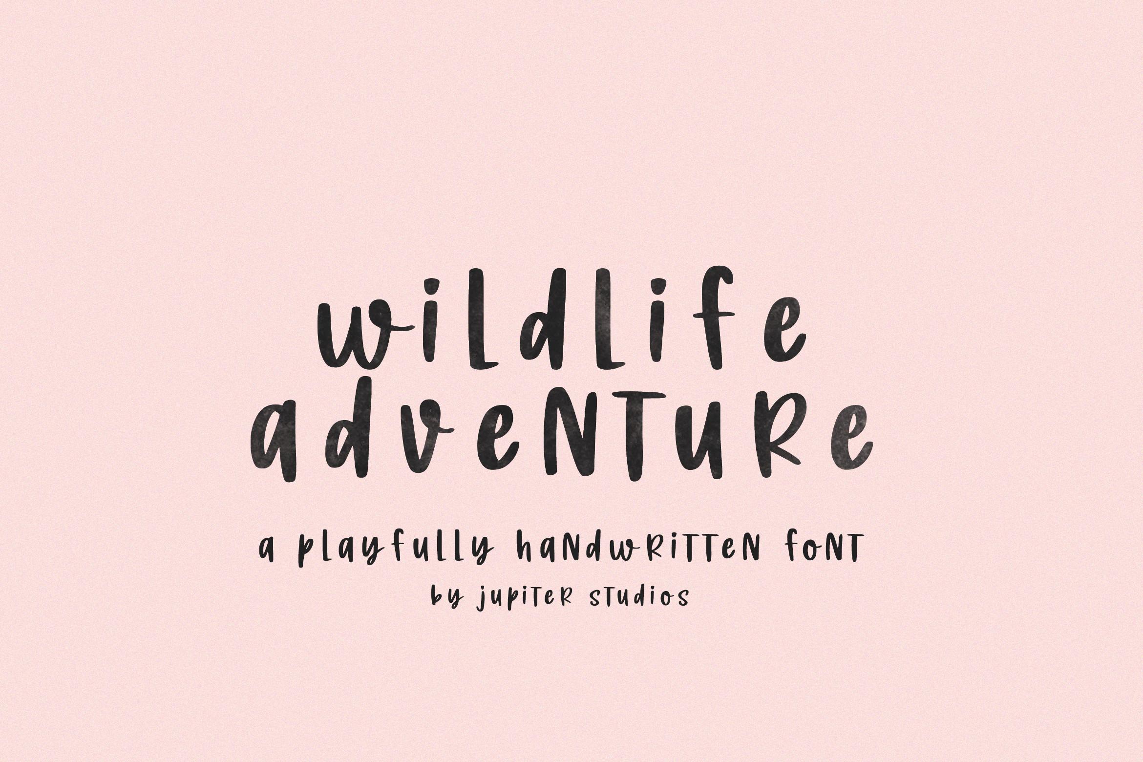 Wildlife Adventure Font