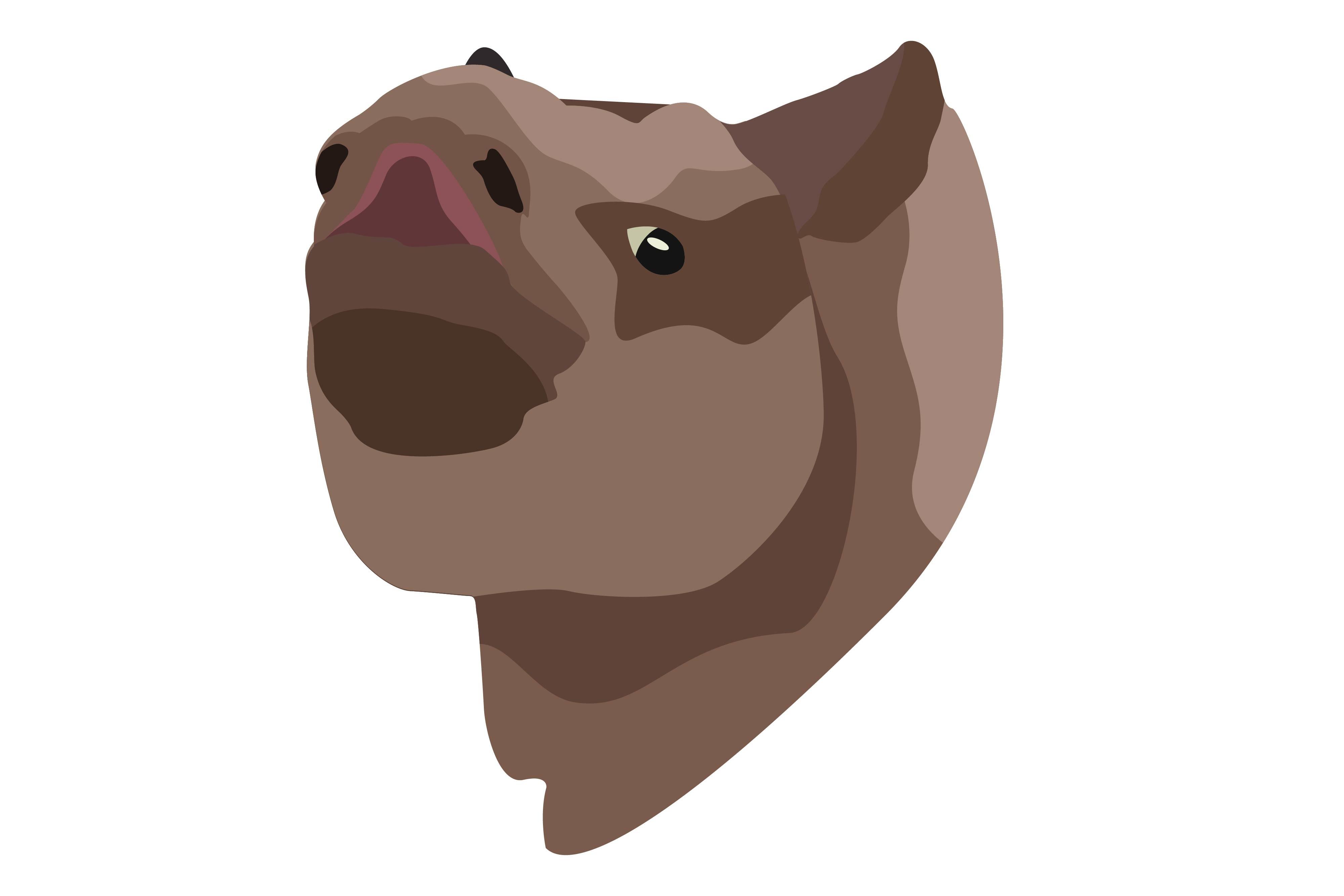 Independent Rhino Illustration Vector