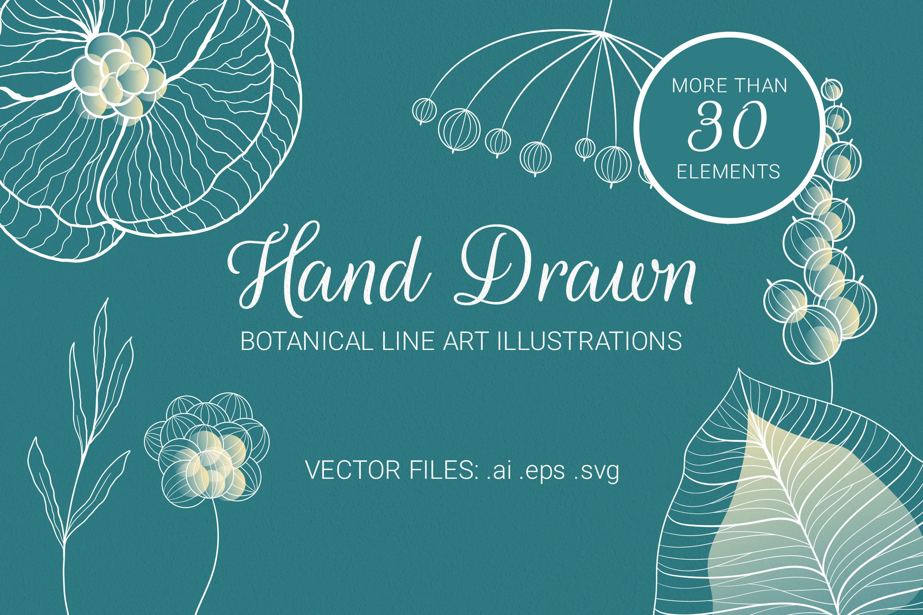 Vector Floral and Botanical Elements