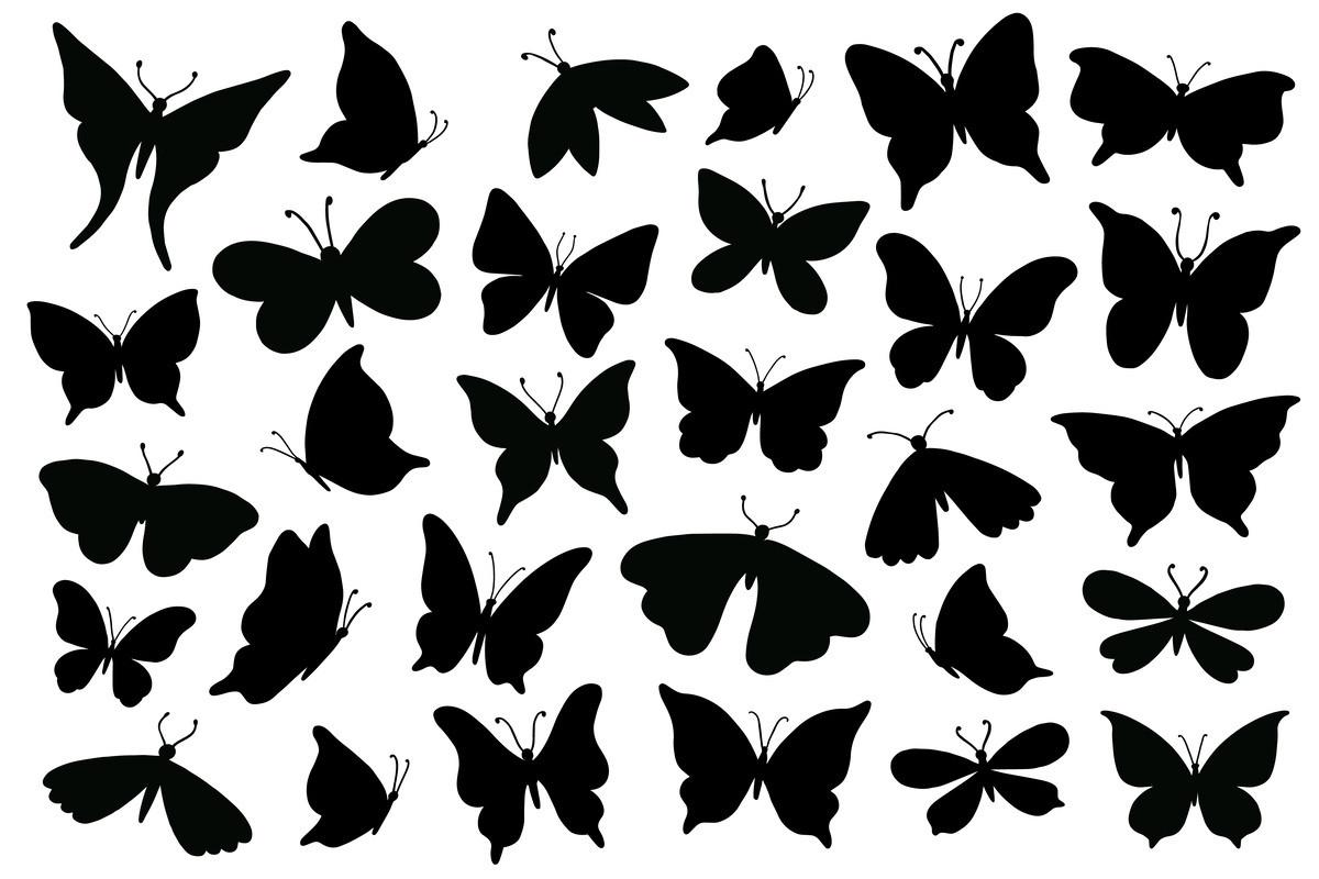 Papillon Silhouette