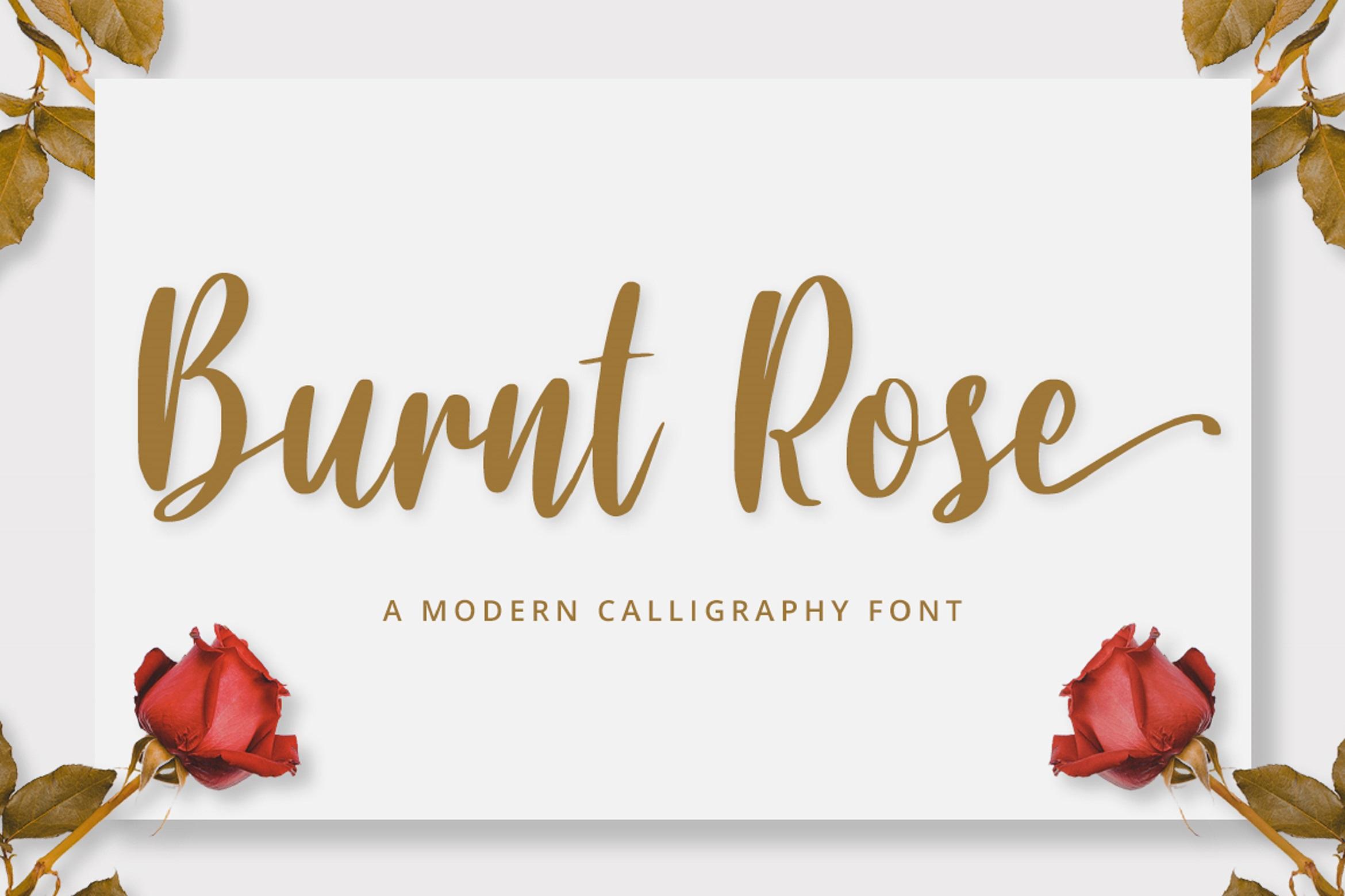 Burnt Rose Font
