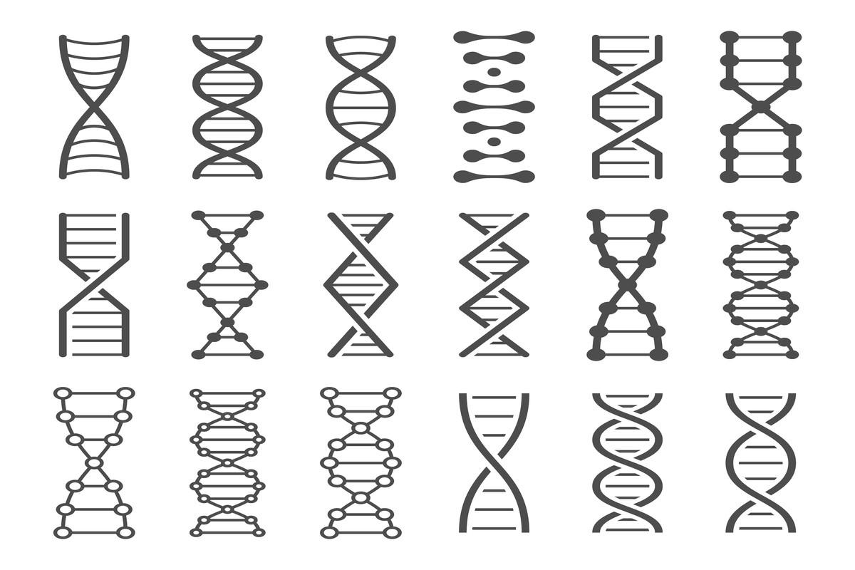 DNA Spiral Icon
