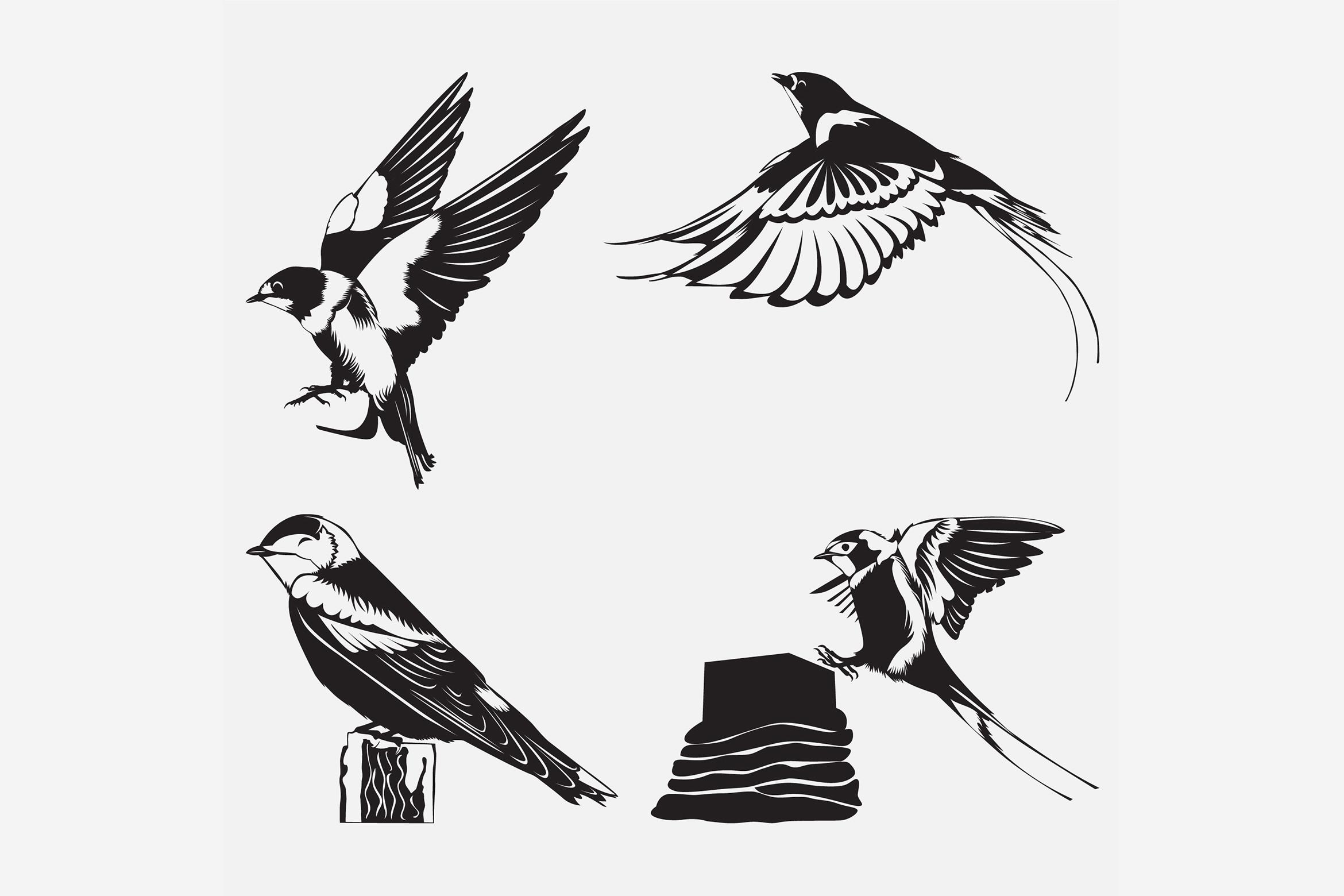 Swallow Bird Sketch Vector Illustration