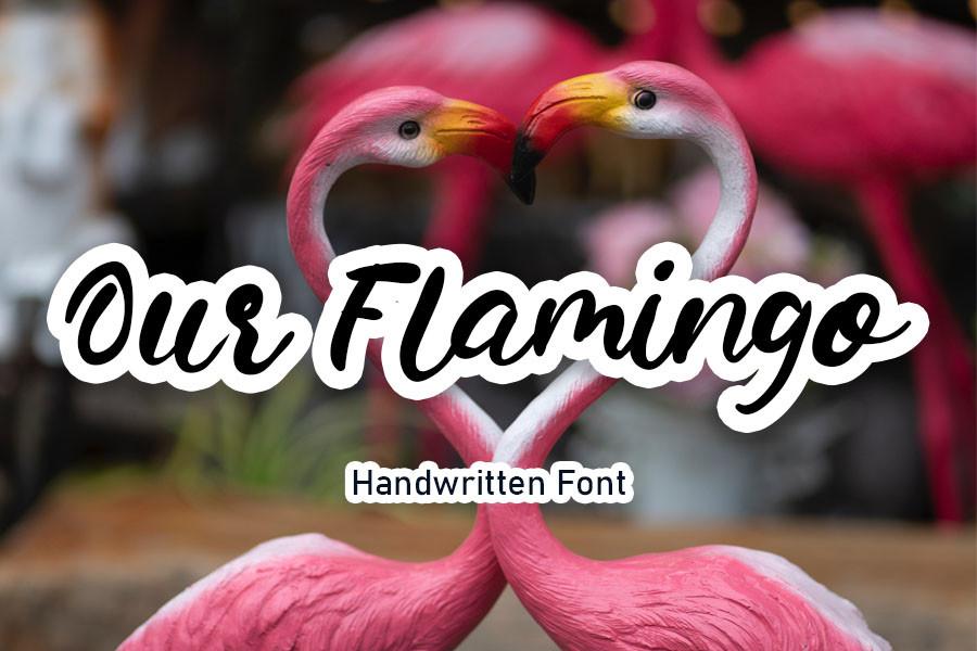 Our Flamingo Font