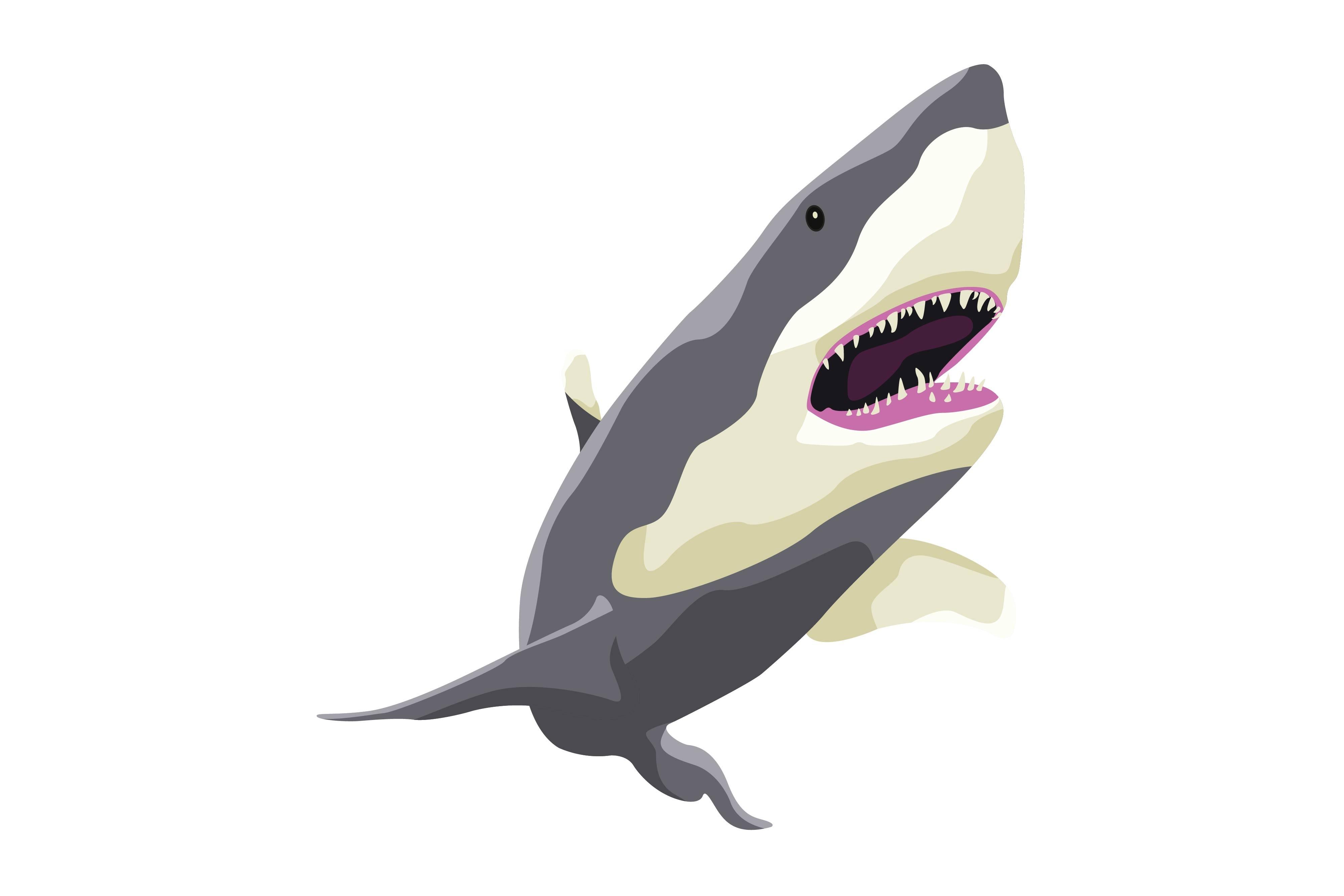 Cute Angry Shark in the Sea Vector