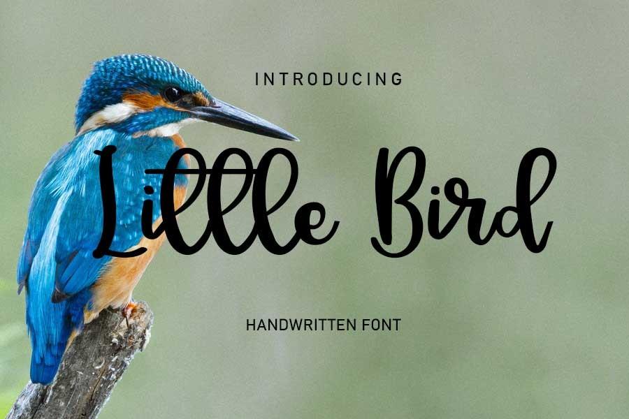 Little Bird Font