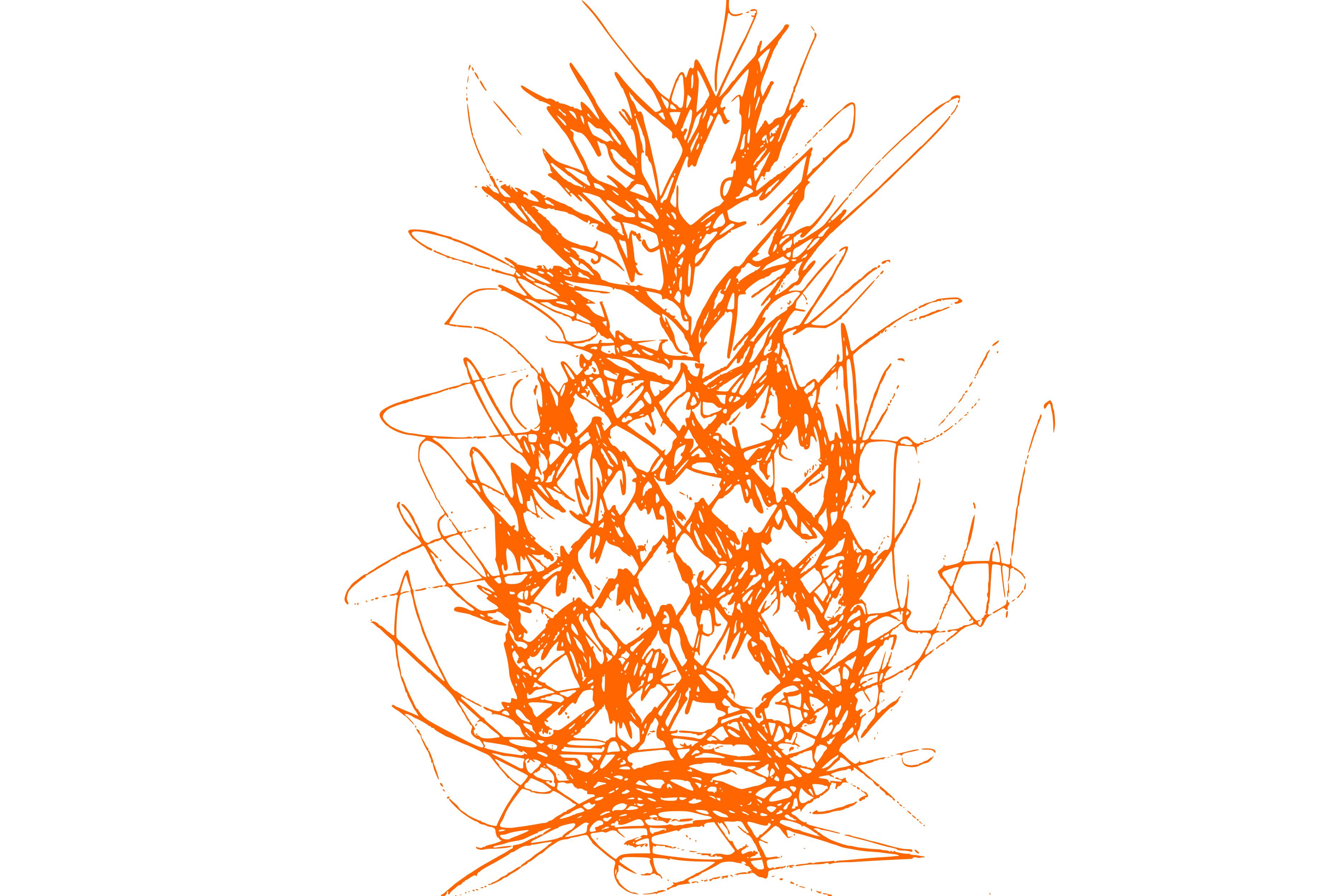Pineapple Scribble Art