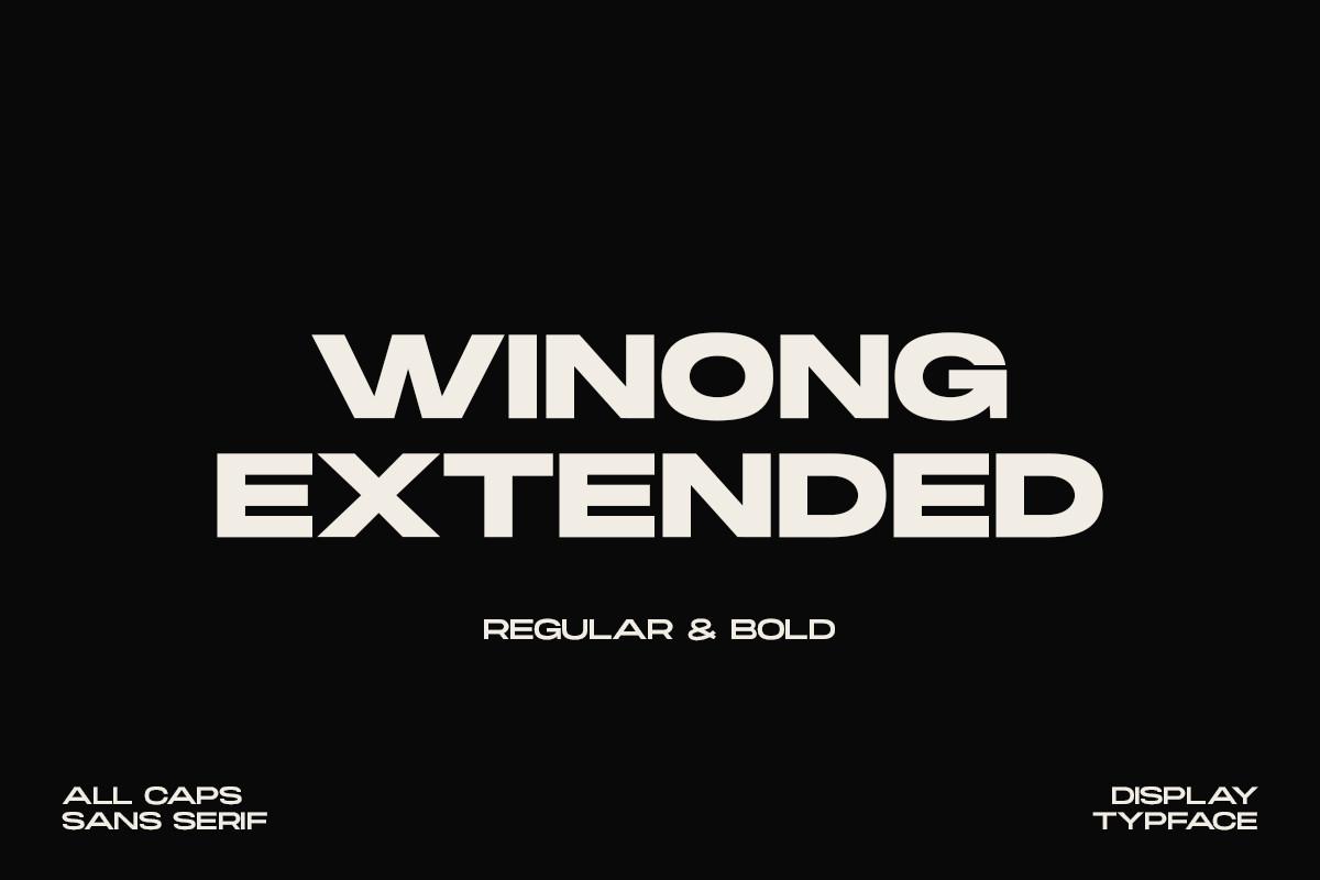Winong Extended Font