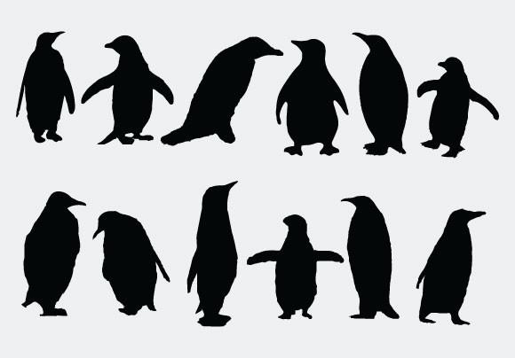 Penguin Silhouette Vector Illustration