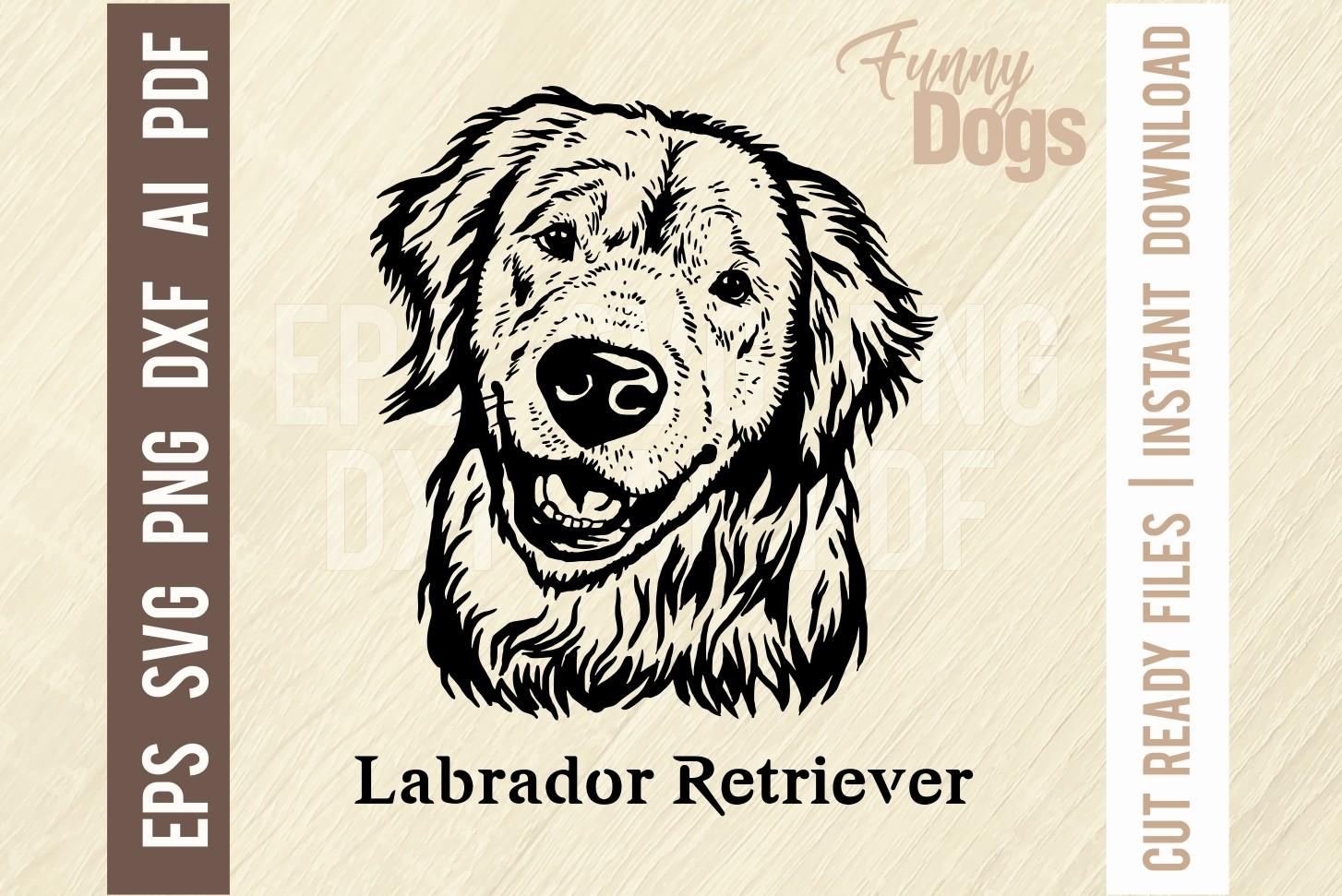 Labrador Retriever - Funny Dog