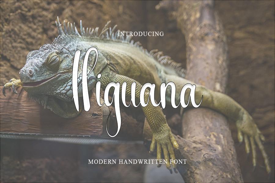 Higuana Font
