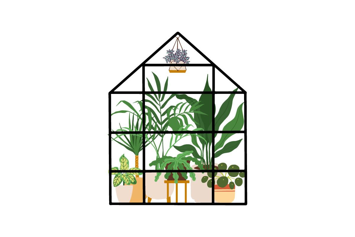 Flowers and Potted Plant House Gardening