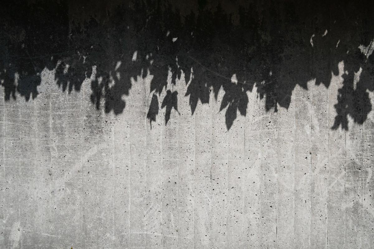 Leaf Shadows on Concrete Wall - Abstract Pattern Background