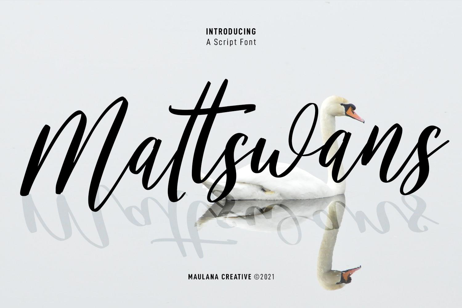 Mattswans Script Font