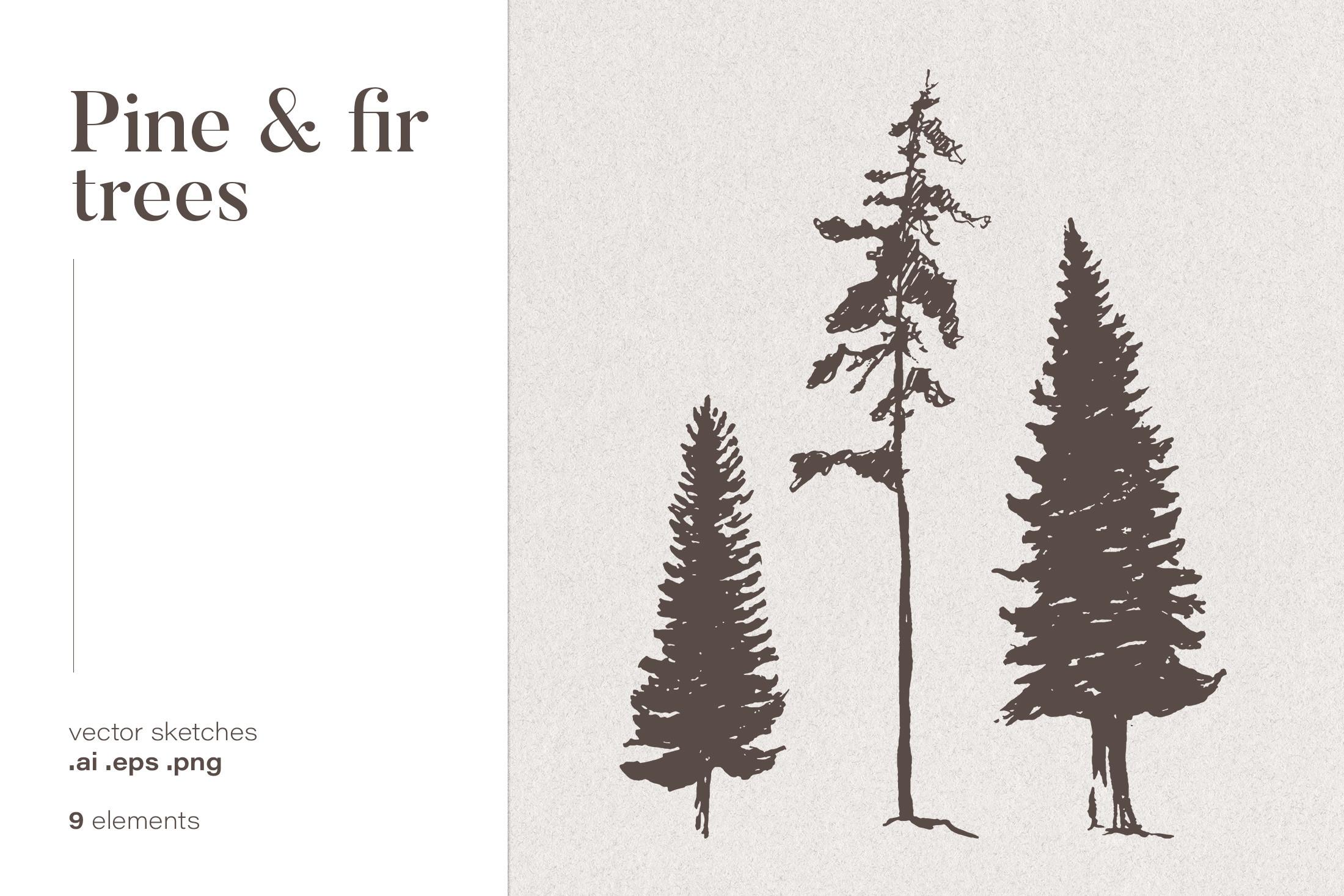 Silhouettes of Pine and Fir Trees